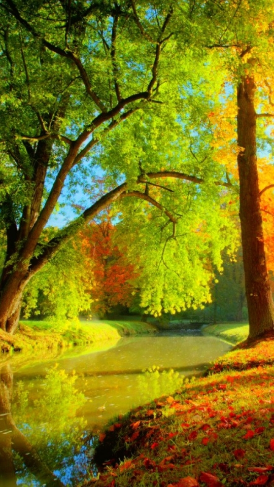 Download mobile wallpaper Park, Tree, Fall, Earth, River for free.