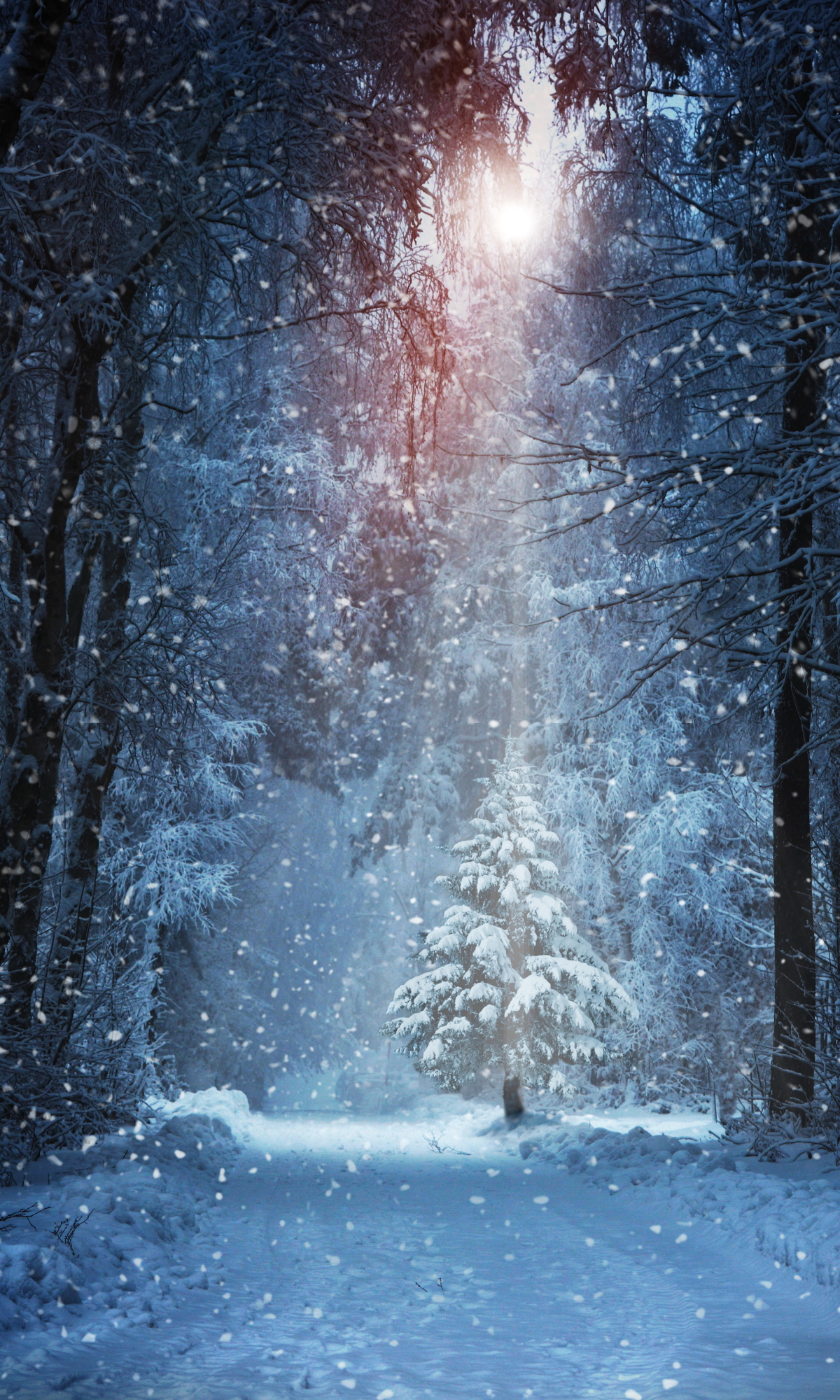 Download mobile wallpaper Winter, Snow, Forest, Earth, Path, Snowfall, Sunbeam, Sunbean for free.