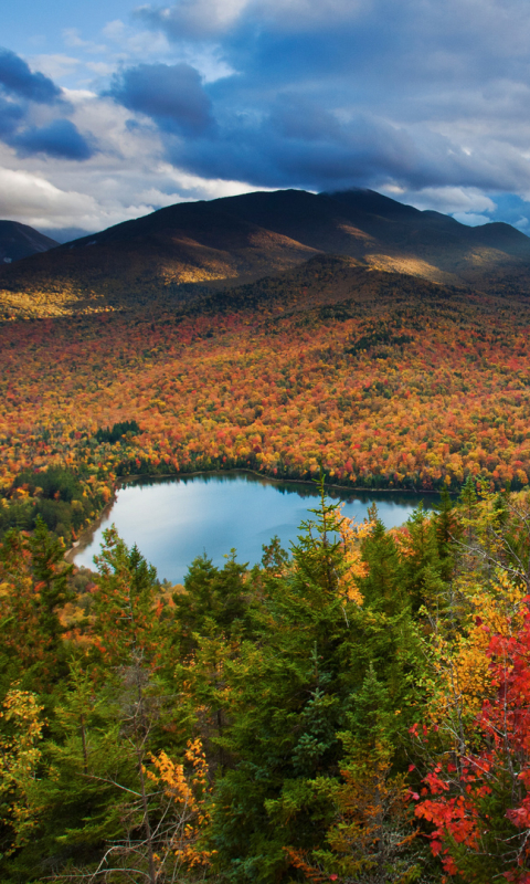 Скачать картинку Пейзаж, Осень, Гора, Озеро, Лес, Земля, Падать, Земля/природа в телефон бесплатно.