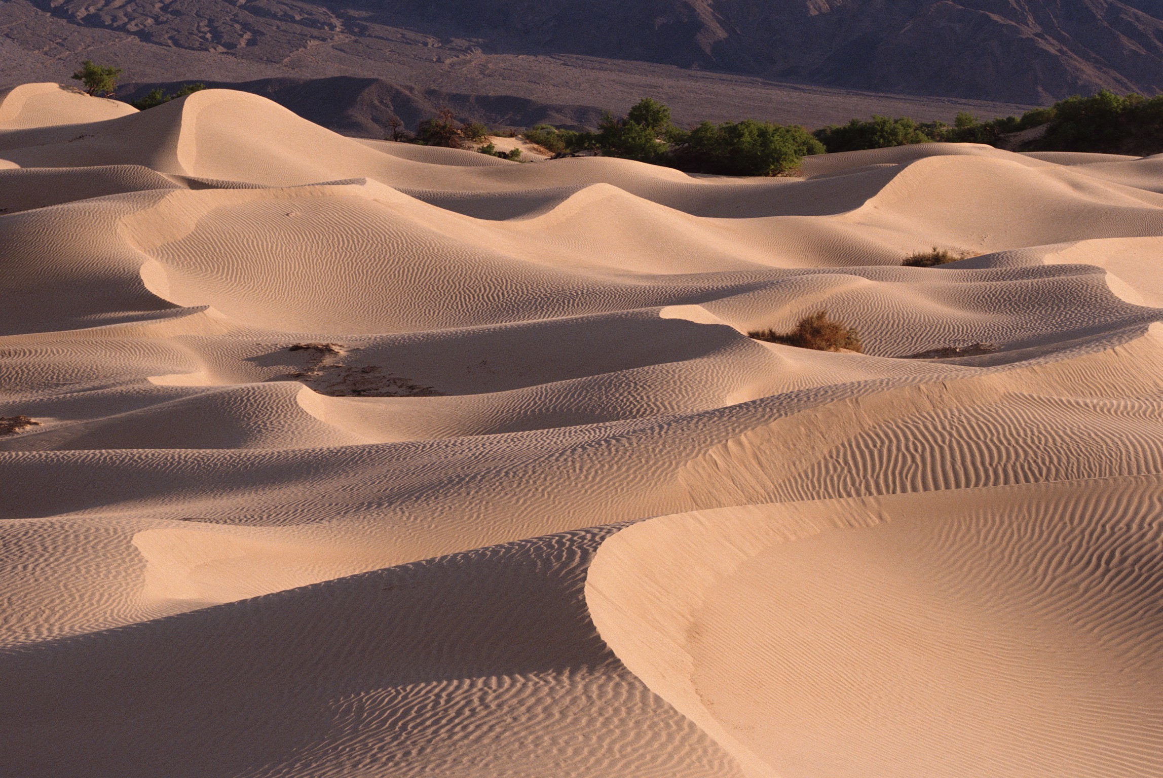 Download mobile wallpaper Desert, Earth for free.