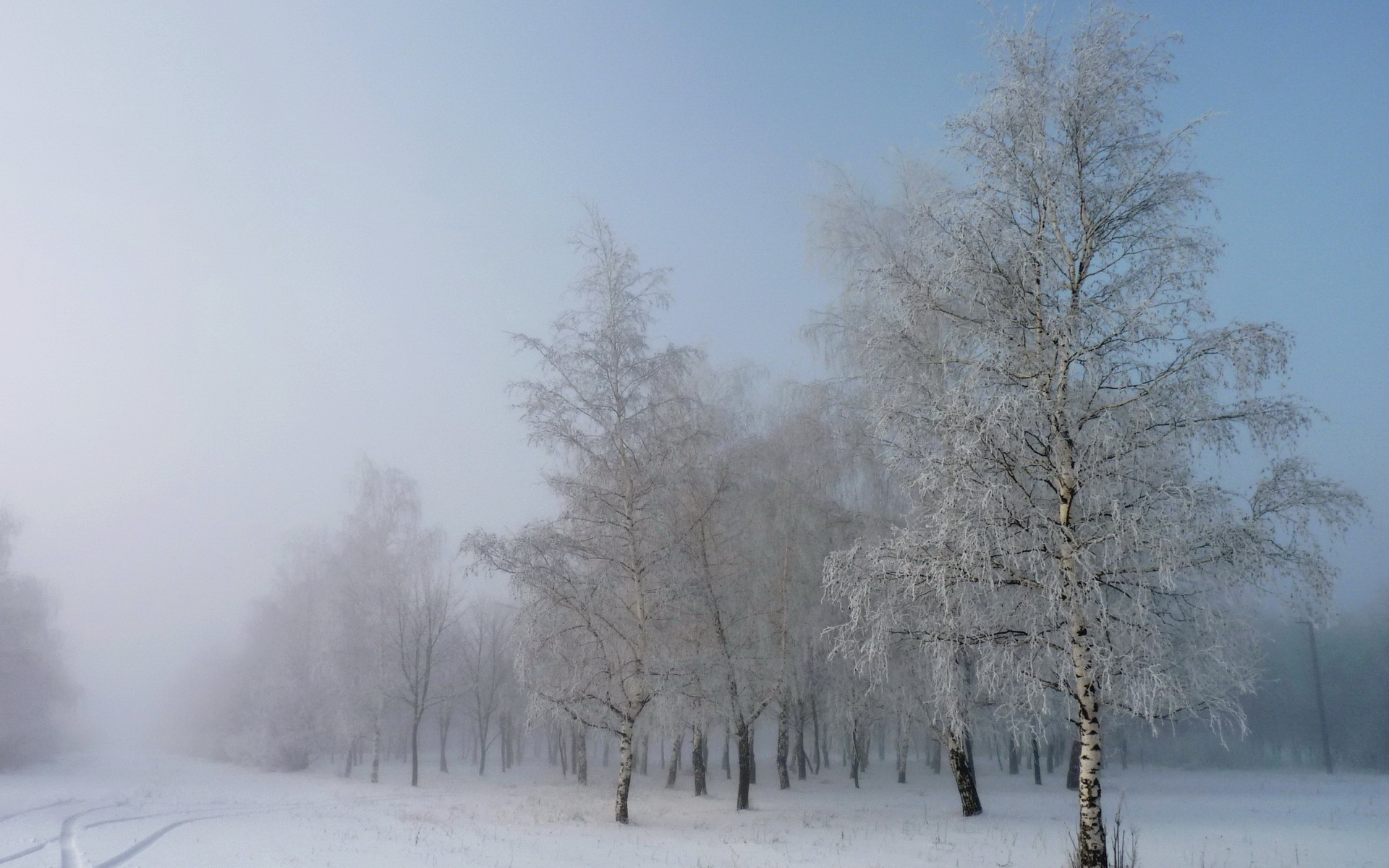 Free download wallpaper Winter, Snow, Fog, Earth on your PC desktop