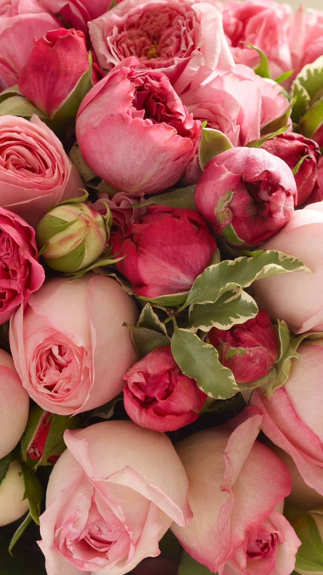 Handy-Wallpaper Blumen, Blume, Rose, Strauß, Erde/natur, Pinke Blume kostenlos herunterladen.
