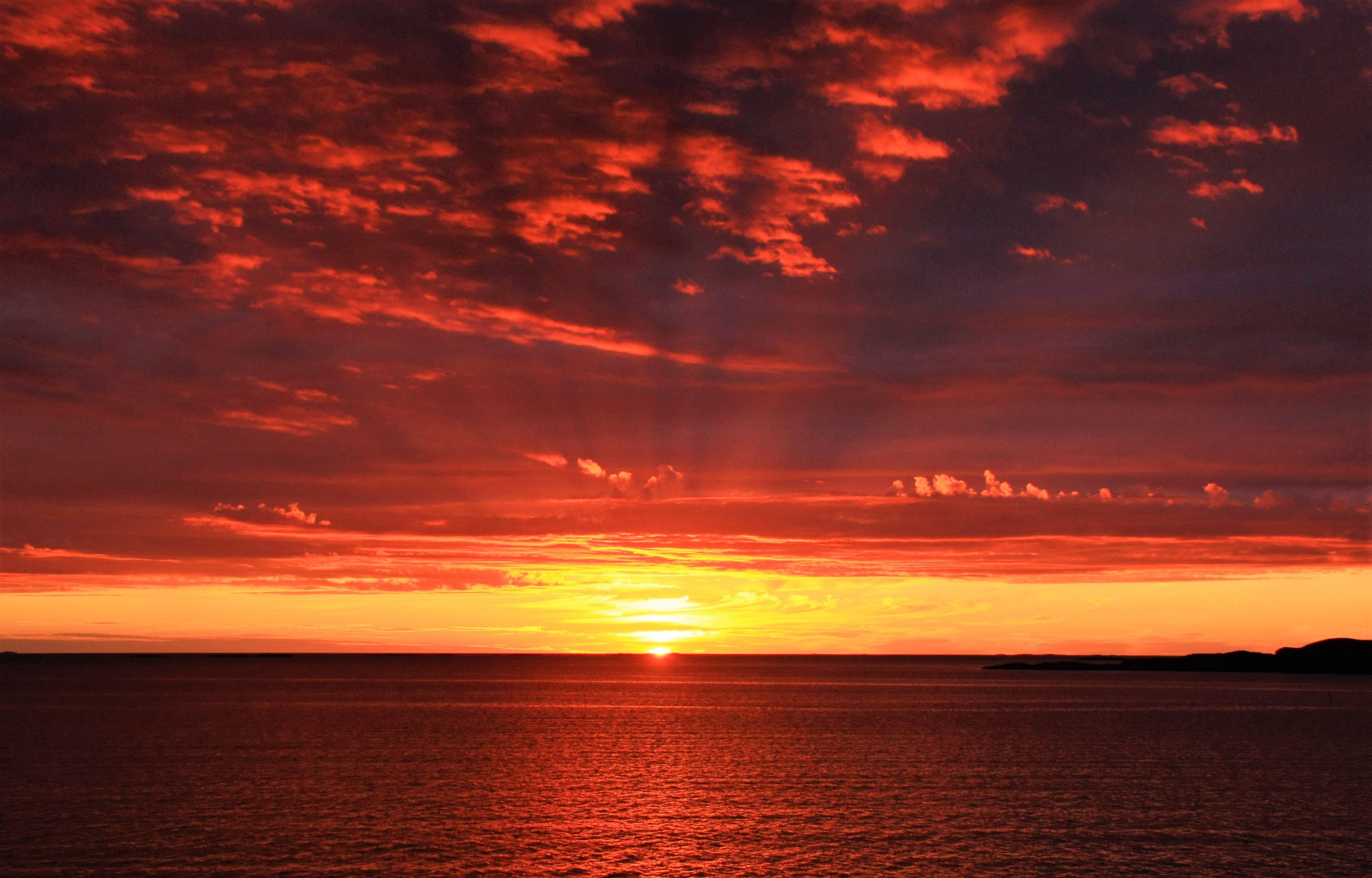 sun, horizon, nature, sea, dawn Panoramic Wallpaper