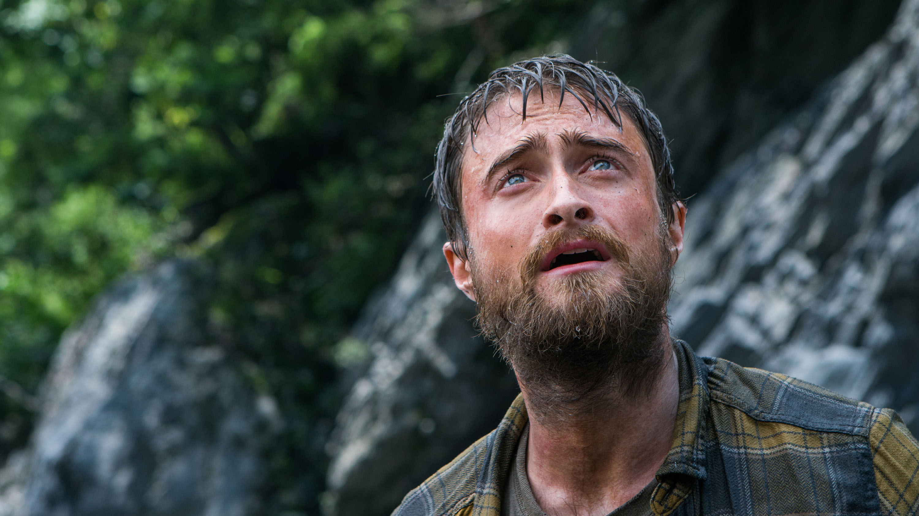 Download mobile wallpaper Daniel Radcliffe, Jungle, Movie for free.