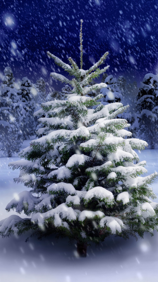 Скачать картинку Зима, Природа, Снег, Лес, Дерево, Земля, Снегопад, Земля/природа в телефон бесплатно.