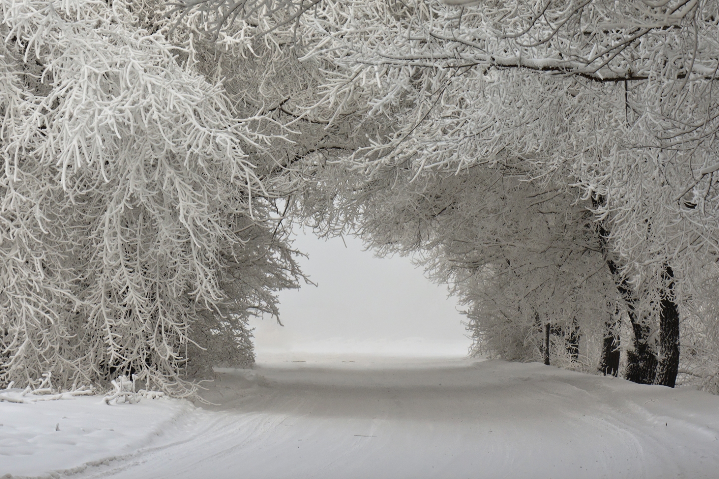 Скачать картинку Снег, Пейзаж, Зима, Деревья в телефон бесплатно.