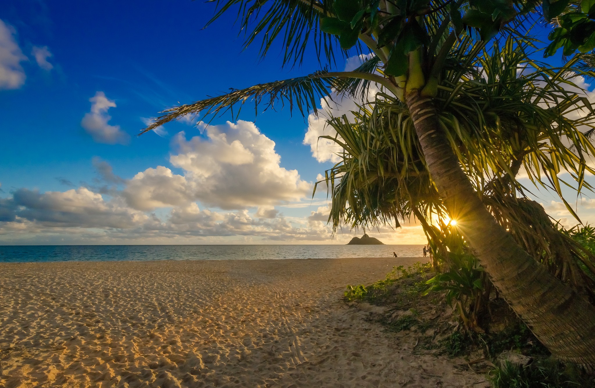 Download mobile wallpaper Sun, Beach, Sand, Earth, Tropics, Tropical, Cloud, Palm Tree for free.