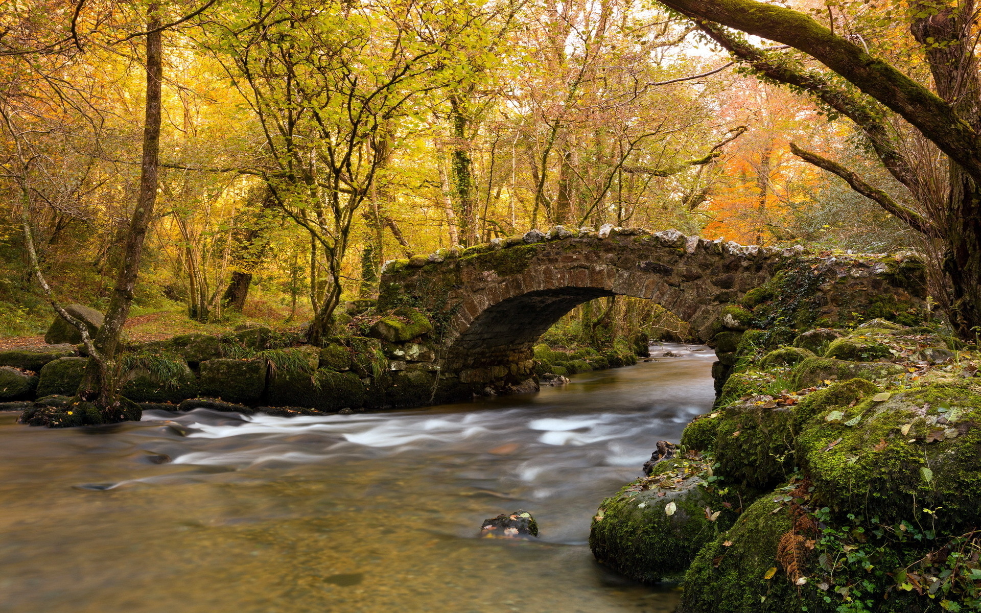 PCデスクトップに川, 橋, 木, 風景画像を無料でダウンロード