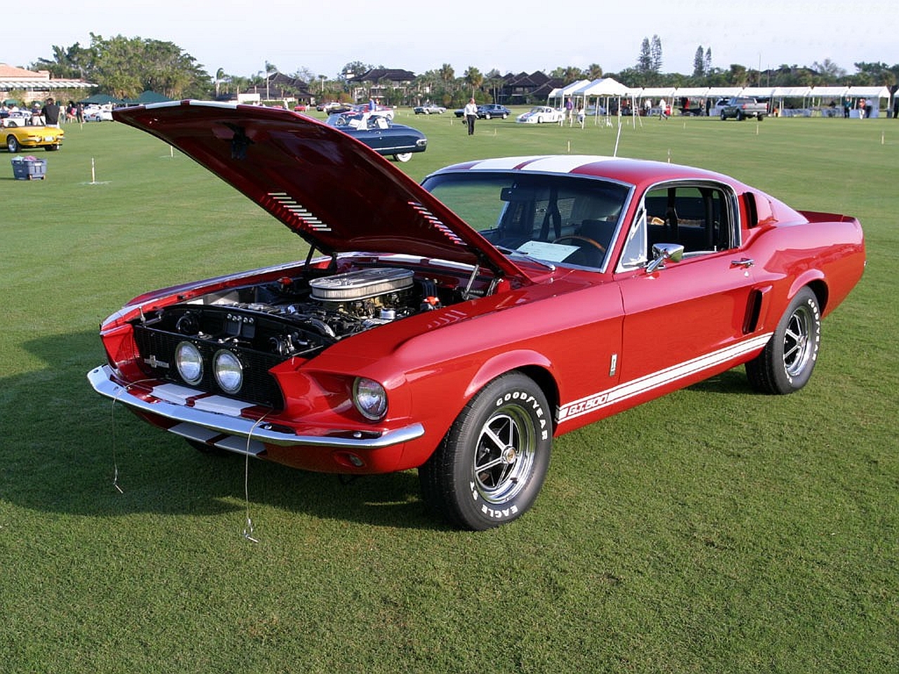 vehicles, fastback, muscle car, shelby gt500, ford mustang