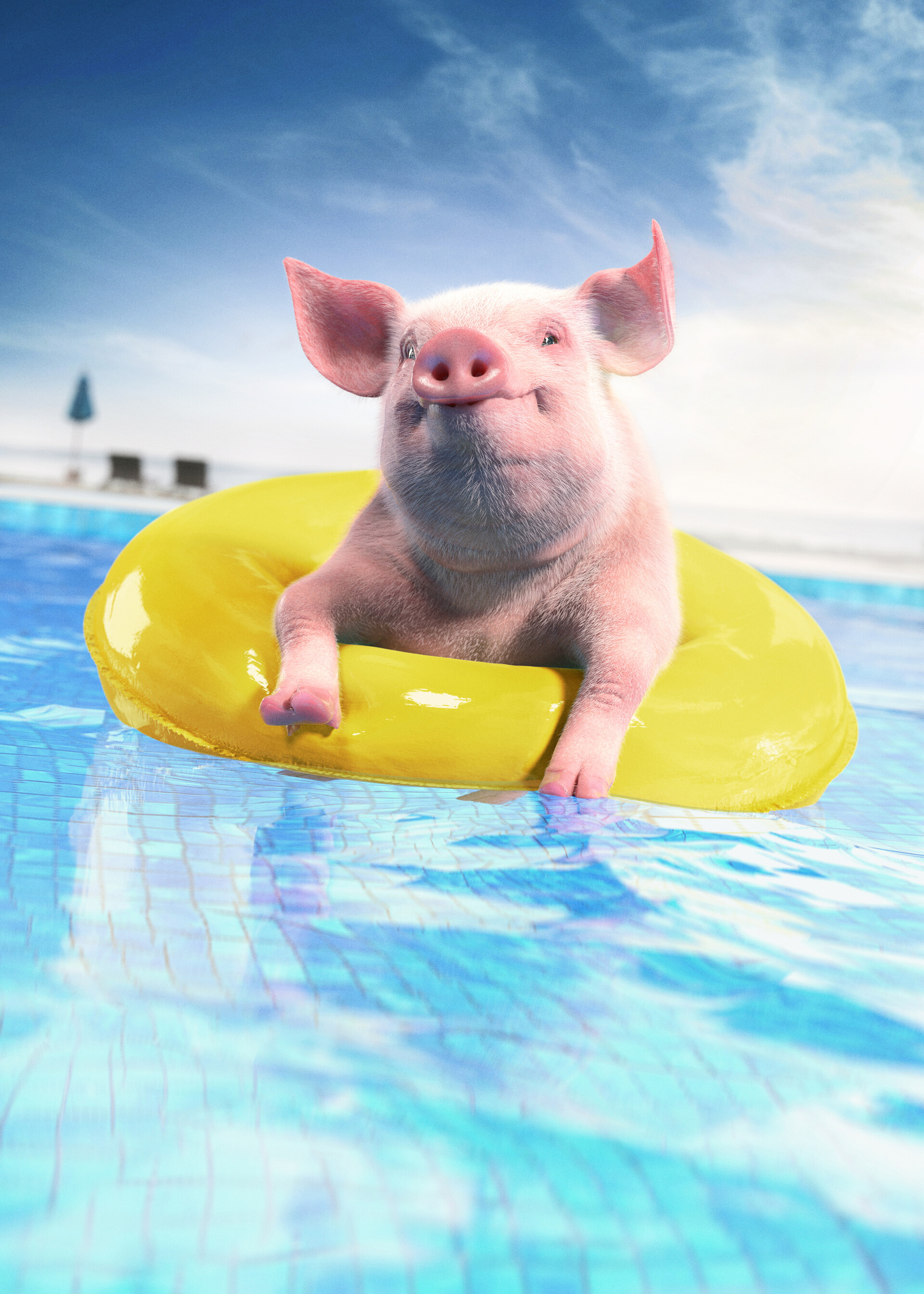 139843 скачать картинку свинья, животные, животное, забавный, бассейн, надувной круг - обои и заставки бесплатно