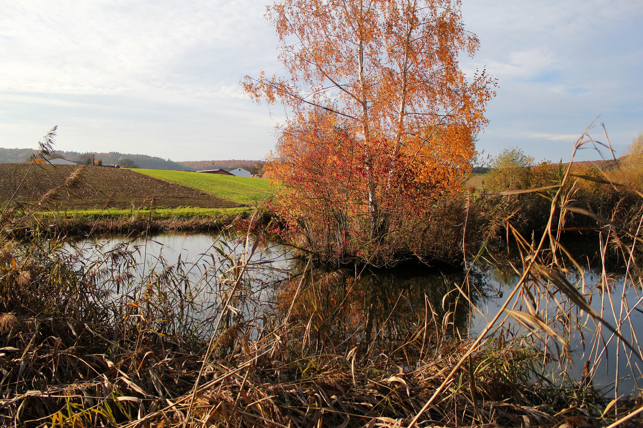 Téléchargez des papiers peints mobile Lac, Terre/nature gratuitement.