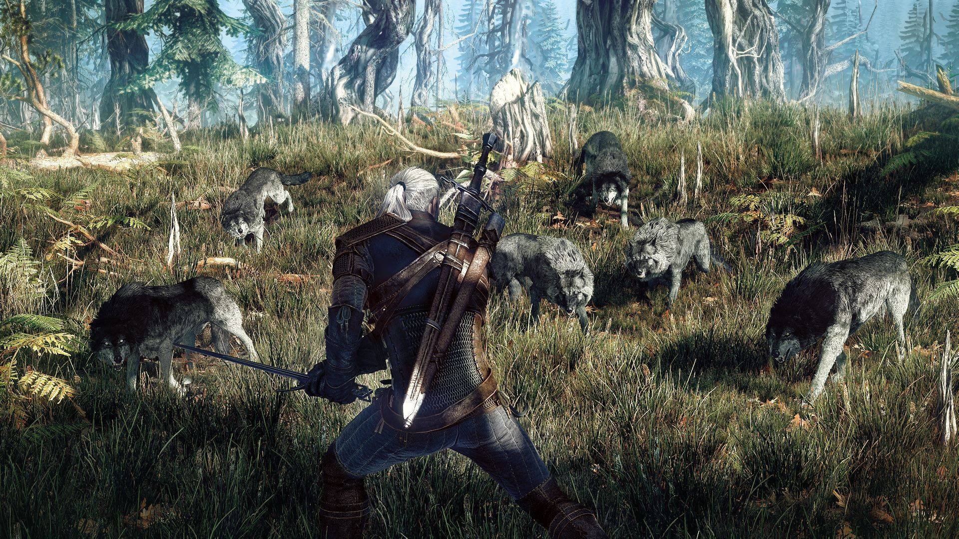 Laden Sie das Computerspiele, Der Hexer, The Witcher 3: Wild Hunt-Bild kostenlos auf Ihren PC-Desktop herunter