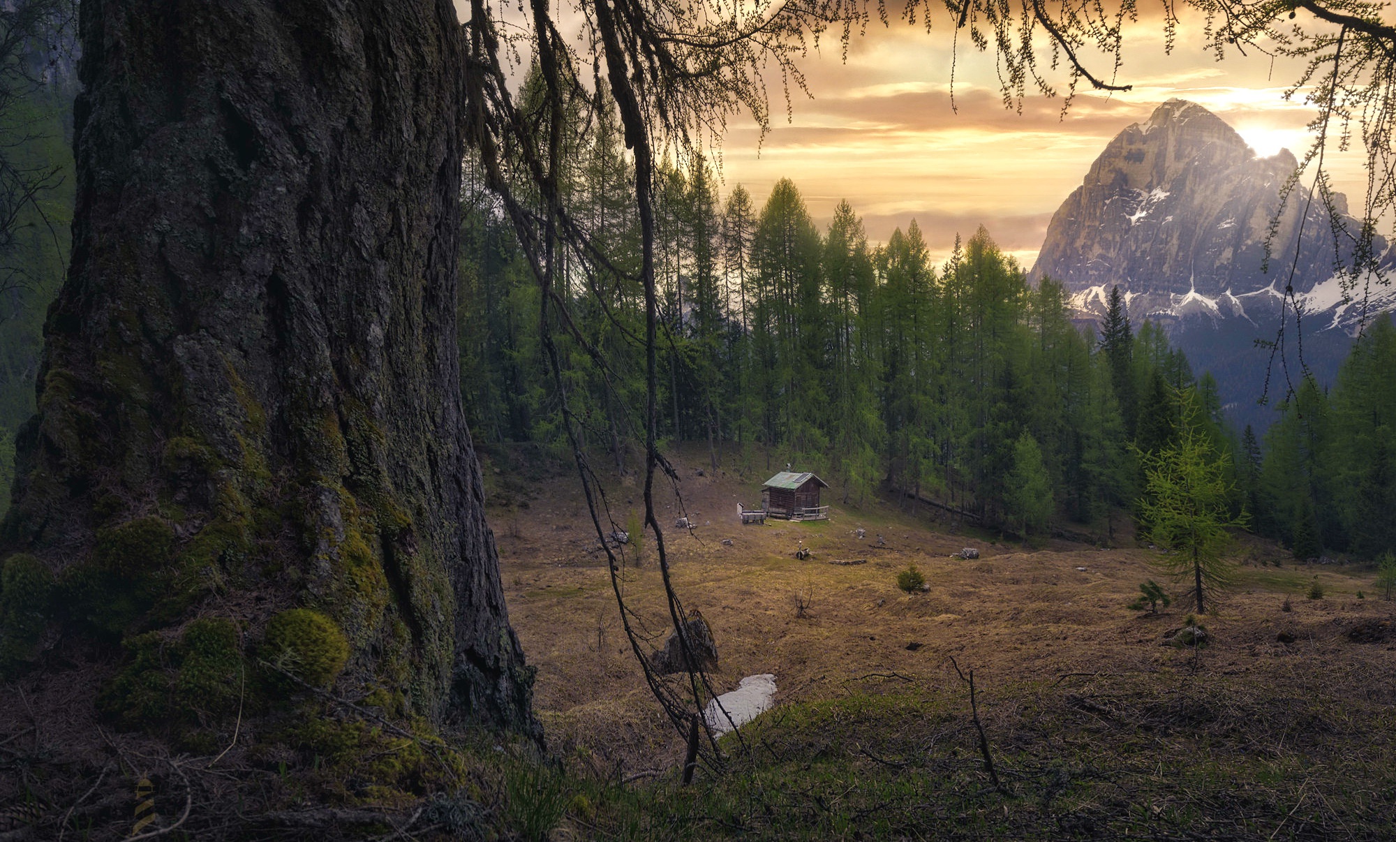 Laden Sie das Landschaft, Berg, Wald, Erde/natur-Bild kostenlos auf Ihren PC-Desktop herunter