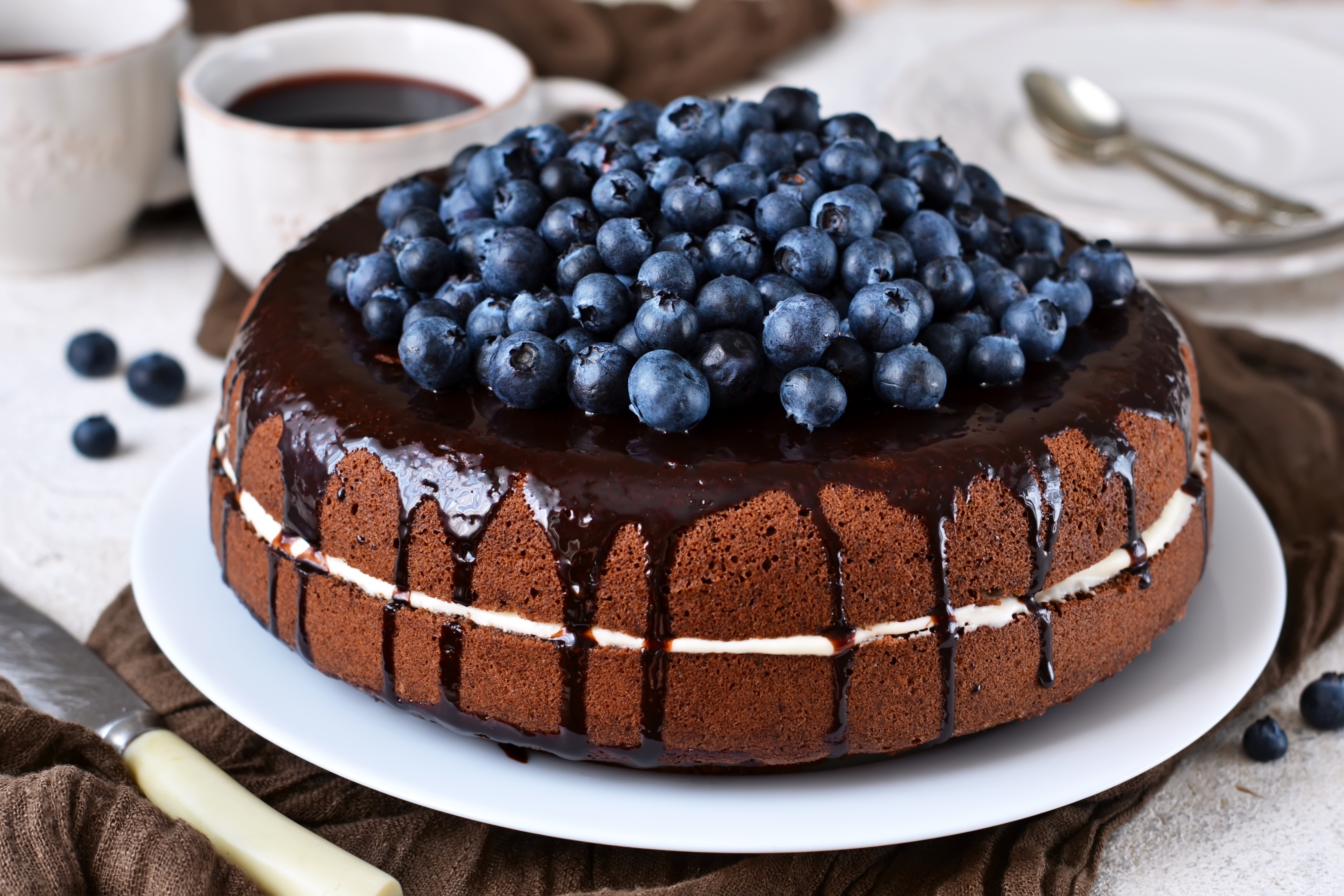 Free download wallpaper Food, Dessert, Blueberry, Cake, Berry, Fruit, Pastry on your PC desktop