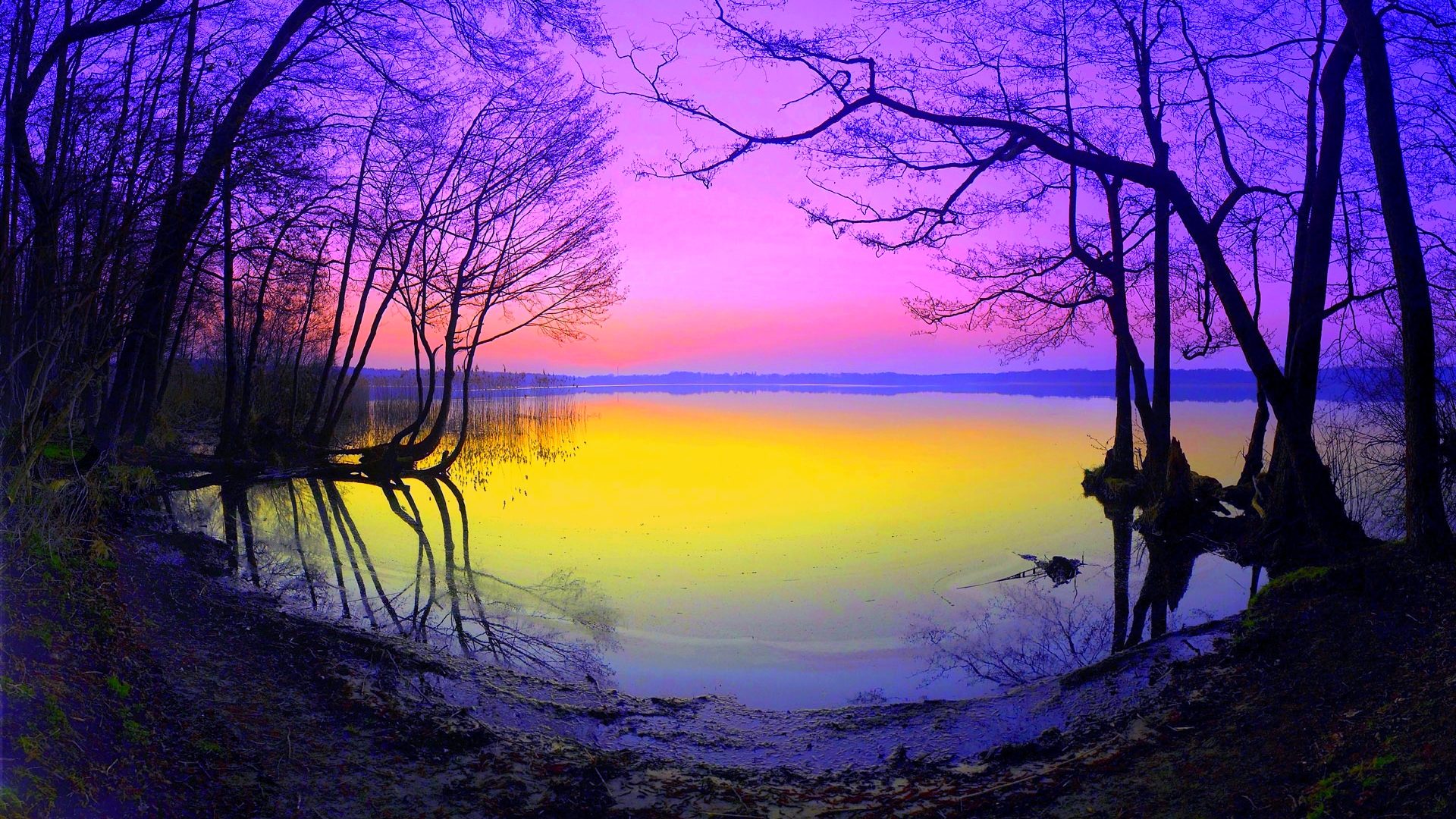 Download mobile wallpaper Pastel, Lakes, Colorful, Lake, Tree, Earth for free.