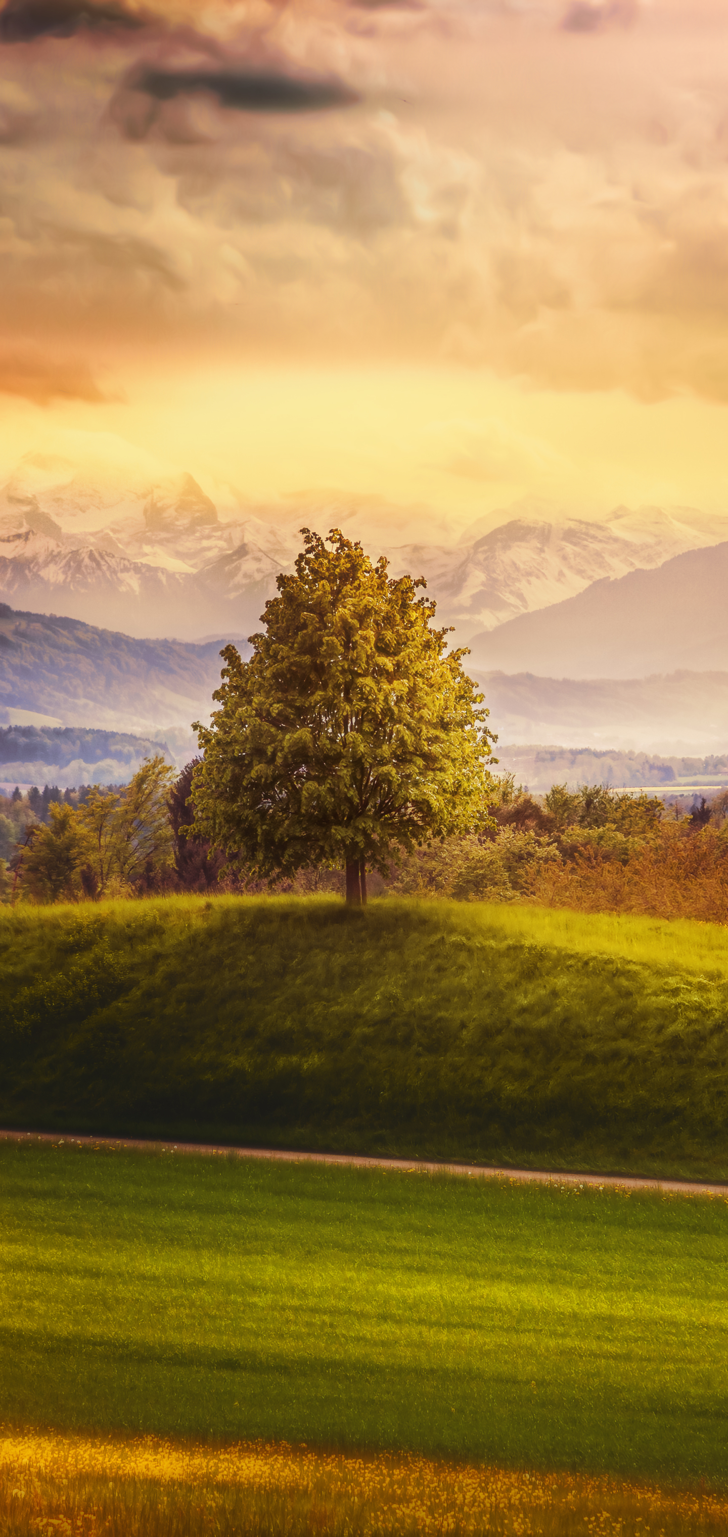 Скачать картинку Пейзаж, Гора, Альпы, Швейцария, Земля/природа в телефон бесплатно.