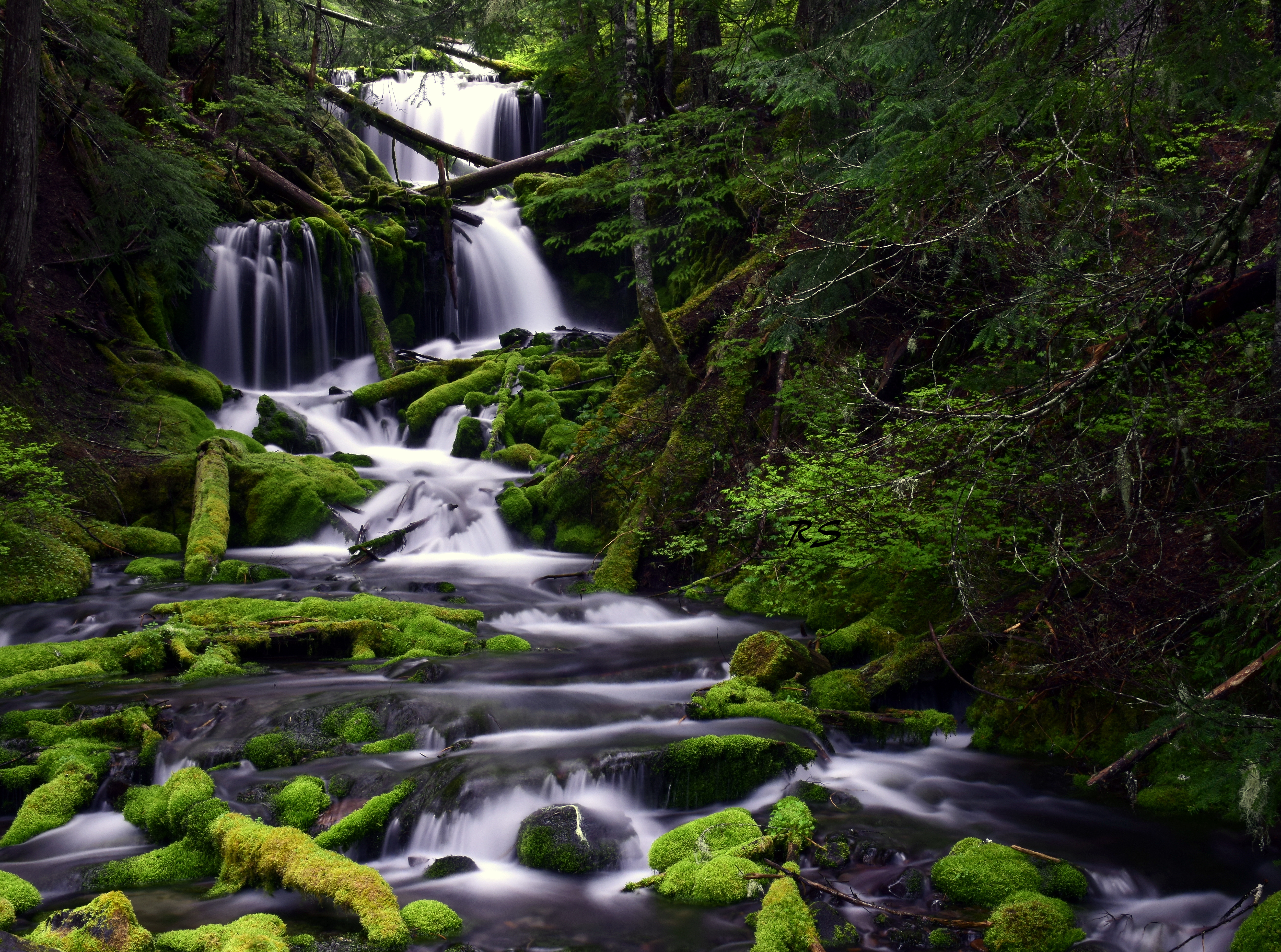 Free download wallpaper Nature, Water, Trees, Waterfall, Flow, Moss, Stream on your PC desktop