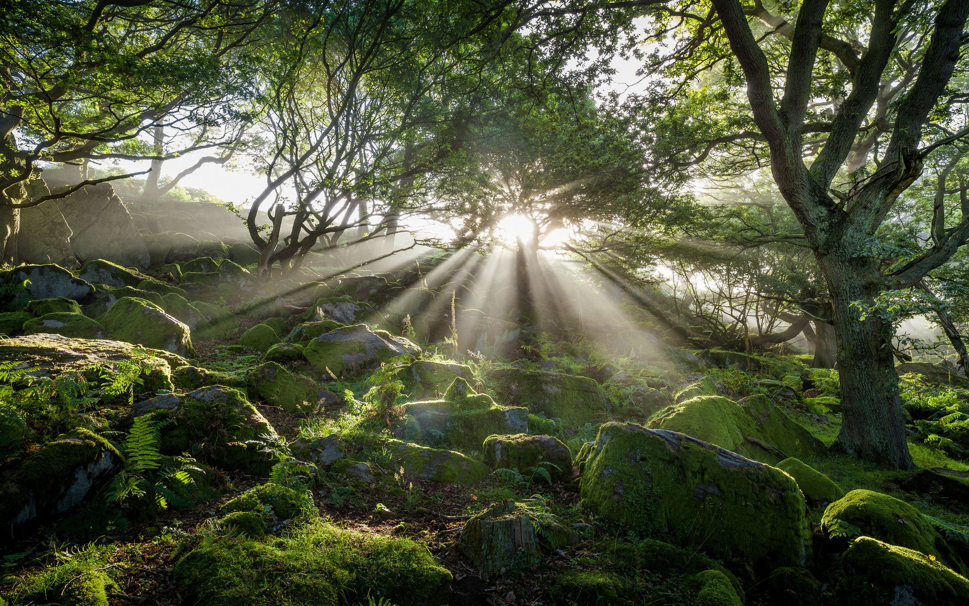 Descarga gratis la imagen Rayo De Sol, Tierra/naturaleza en el escritorio de tu PC