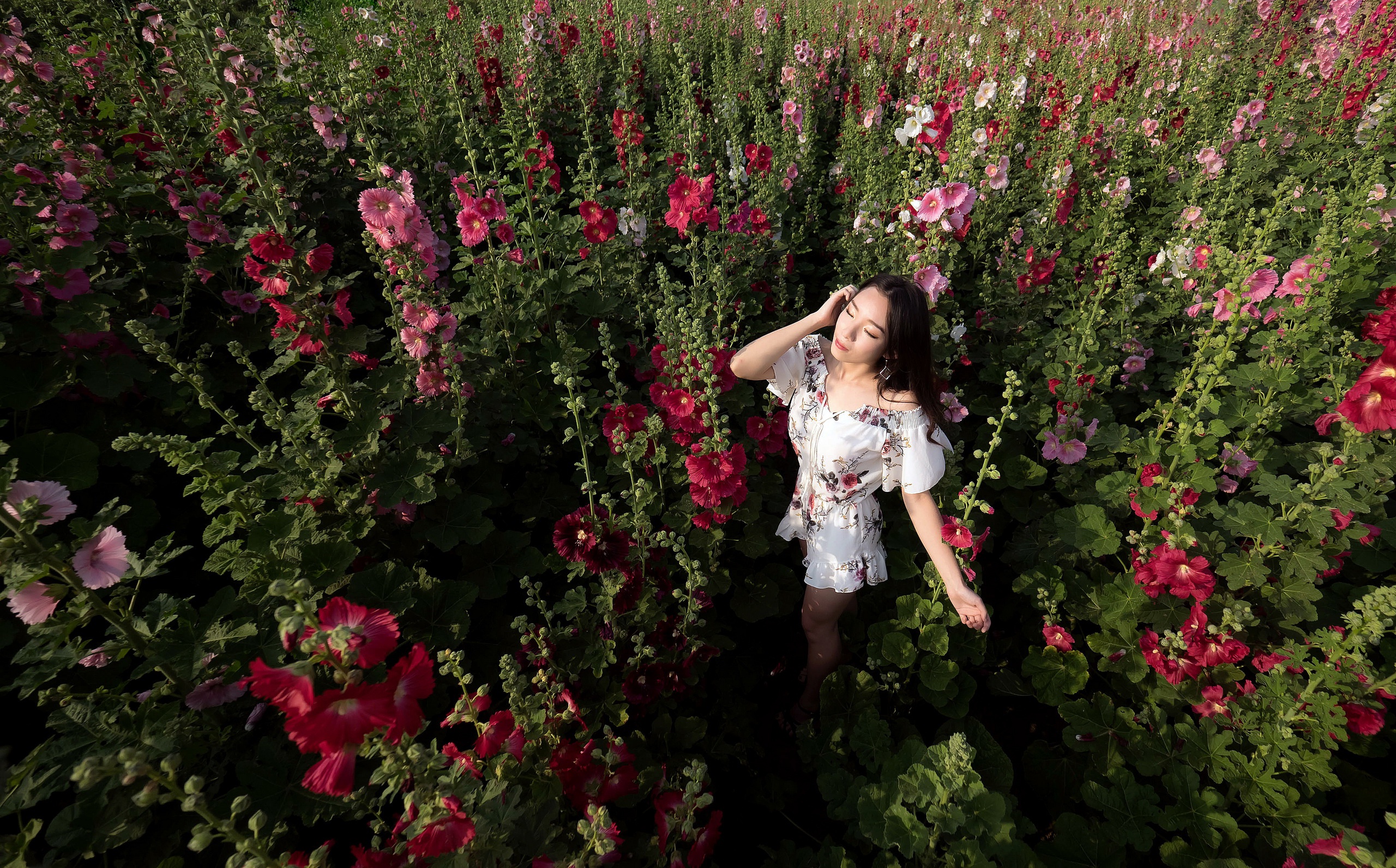 Free download wallpaper Flower, Mood, Dress, Brunette, Model, Women, Asian, Pink Flower on your PC desktop