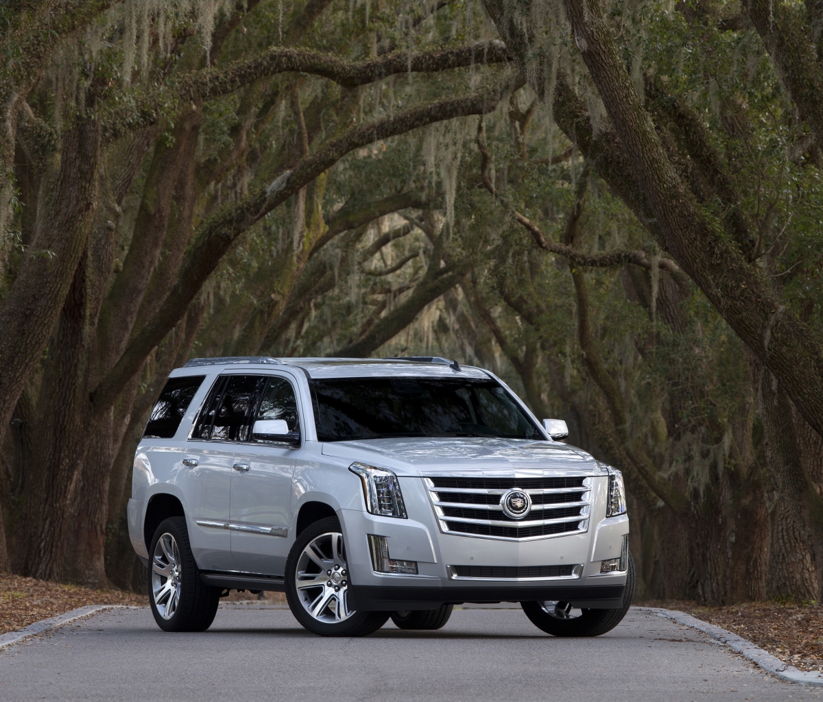 Download mobile wallpaper Cadillac, Cadillac Escalade, Vehicles for free.