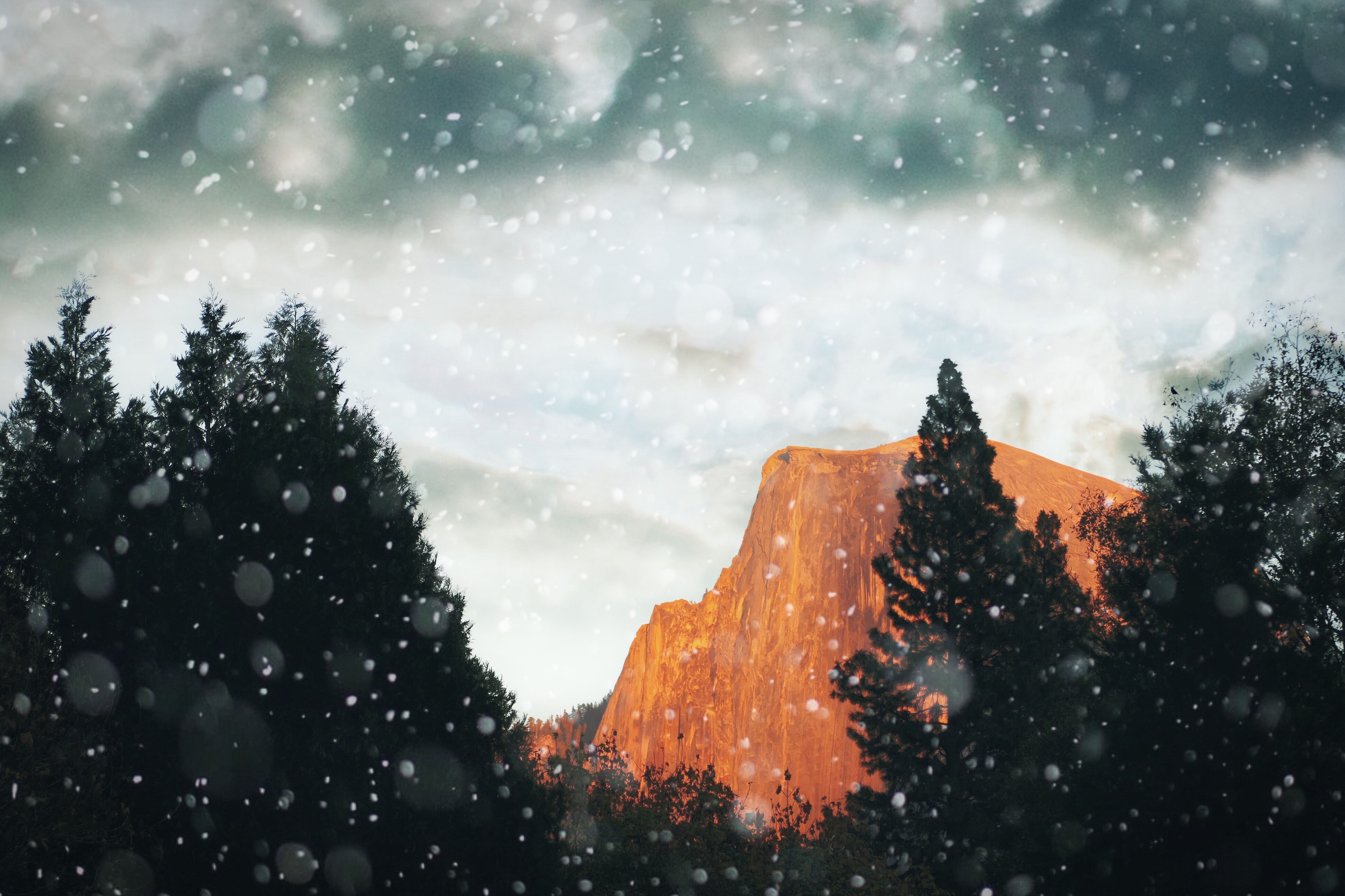 Скачать картинку Снег, Скалы, Деревья, Небо, Горы, Природа в телефон бесплатно.