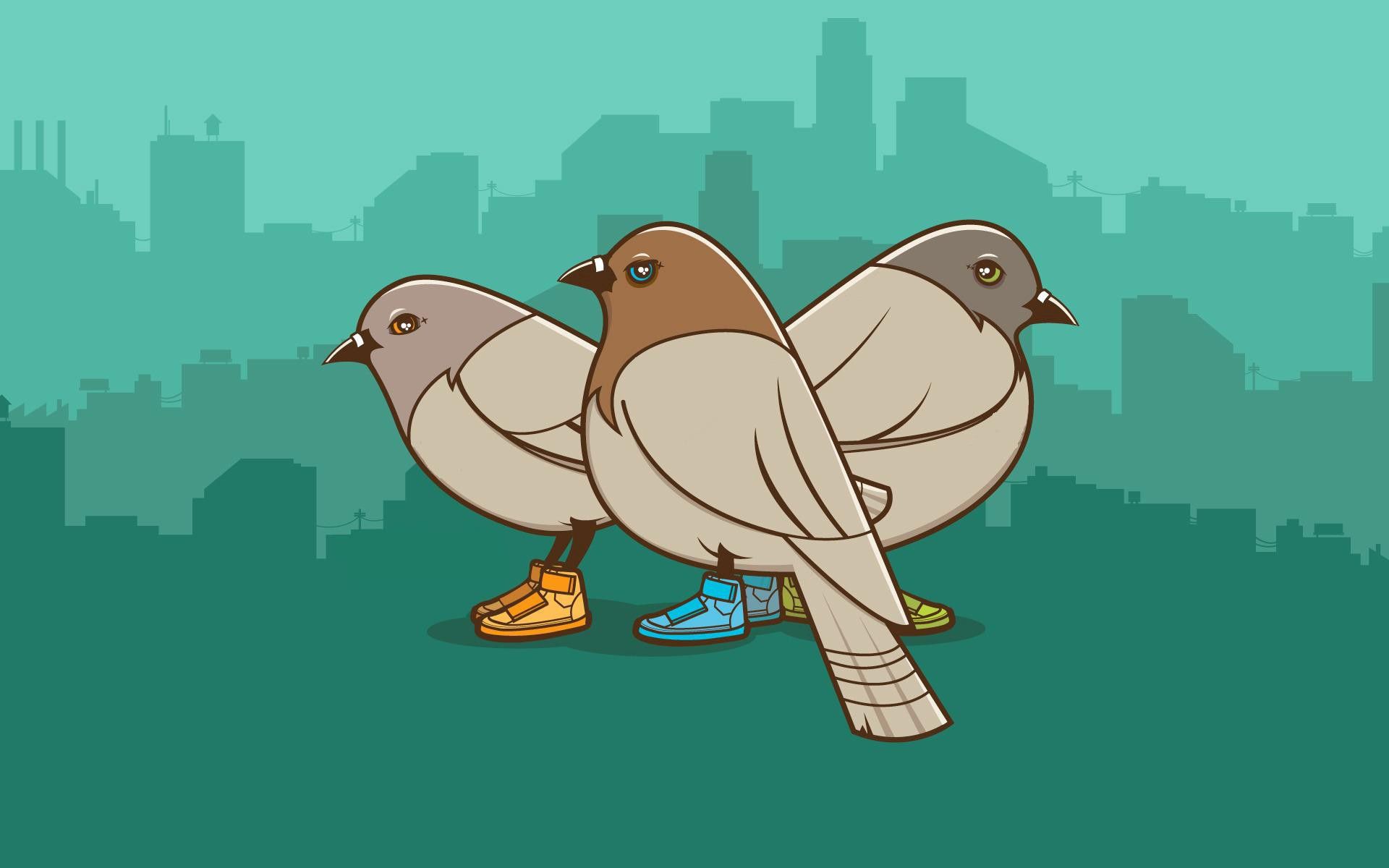 drawing, birds, pigeons, vector, picture