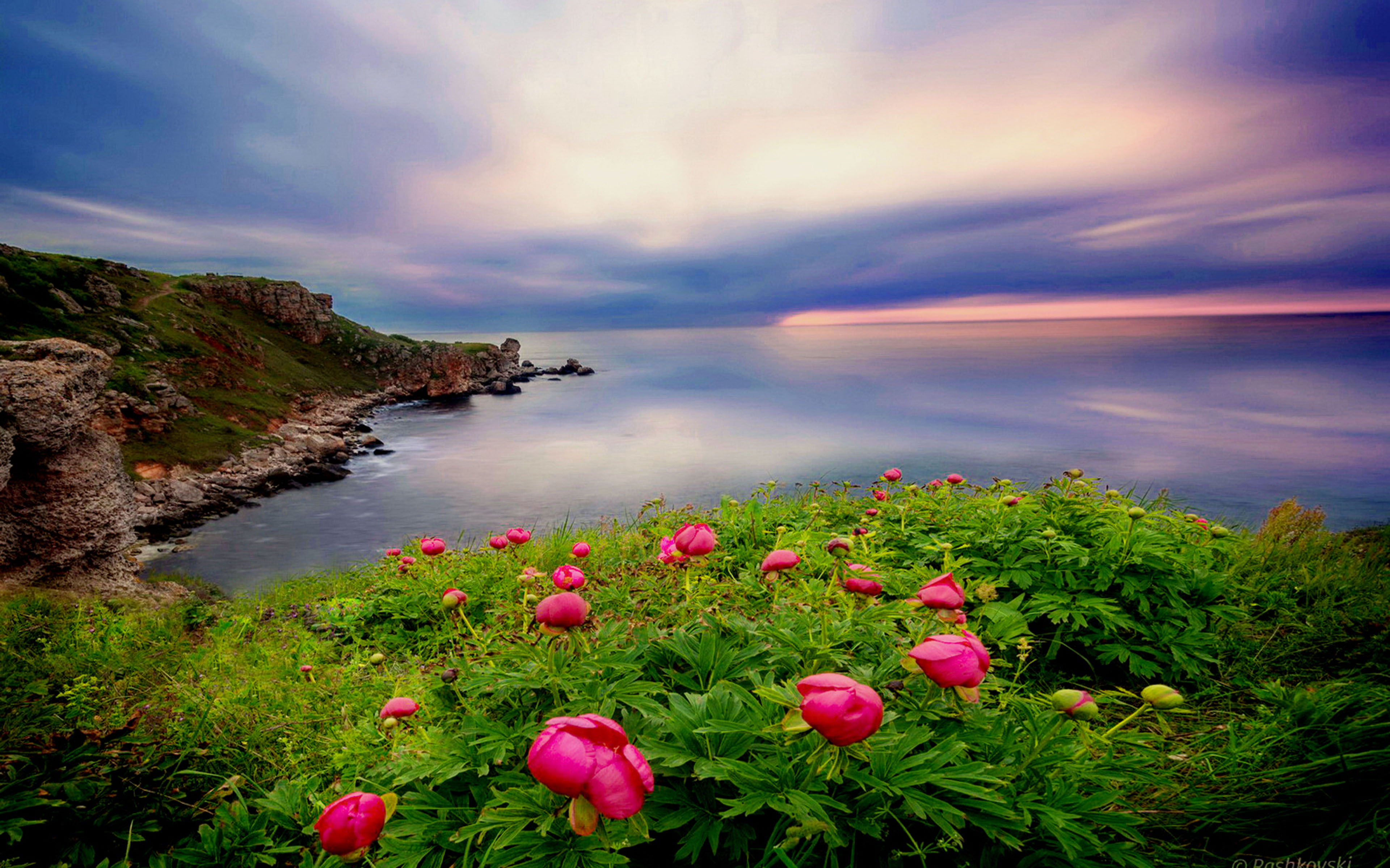 Download mobile wallpaper Sea, Beach, Horizon, Flower, Ocean, Earth, Cliff, Coastline for free.