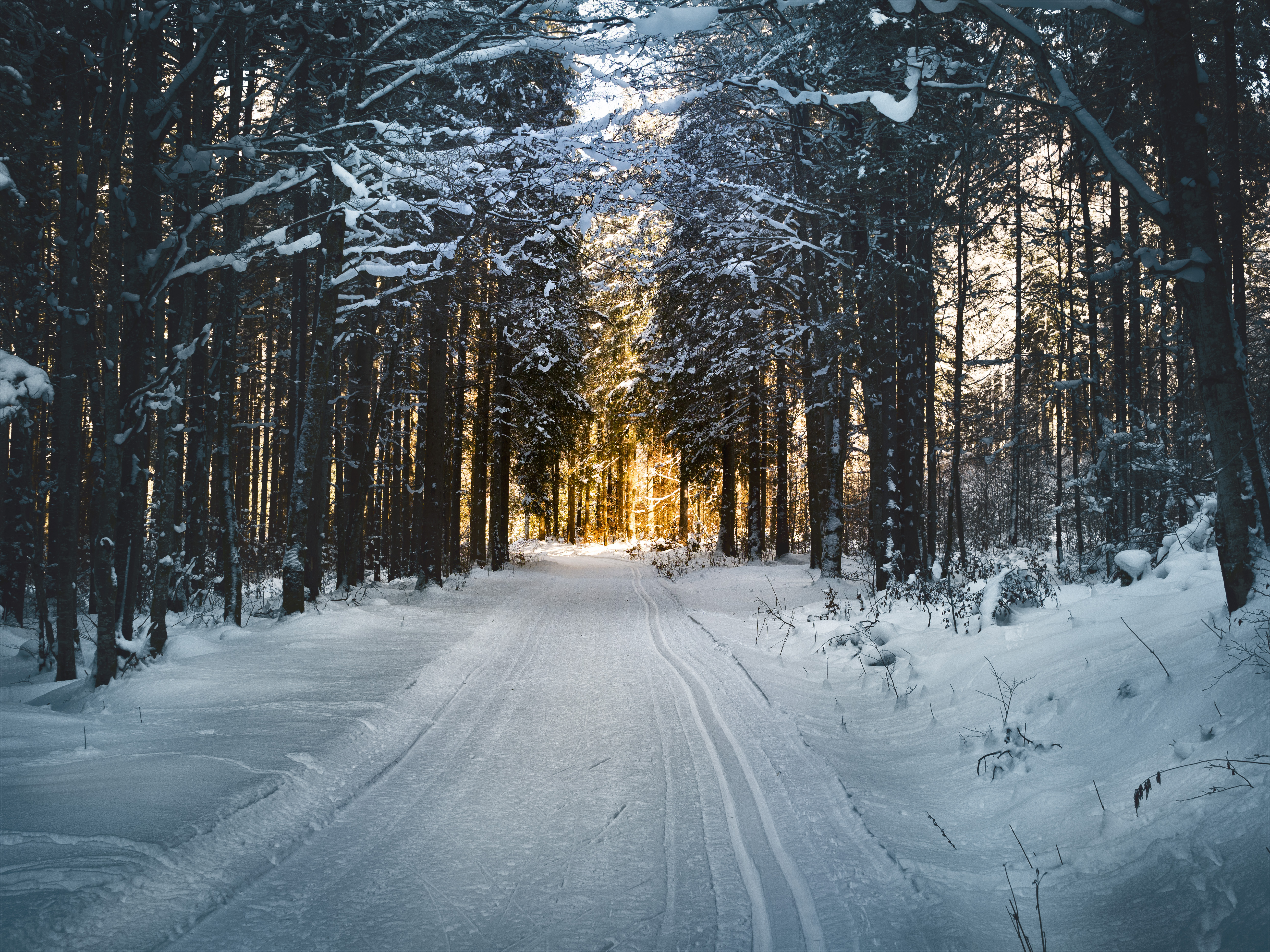 Скачать обои бесплатно Снег, Зима, Дорога, Деревья, Природа картинка на рабочий стол ПК