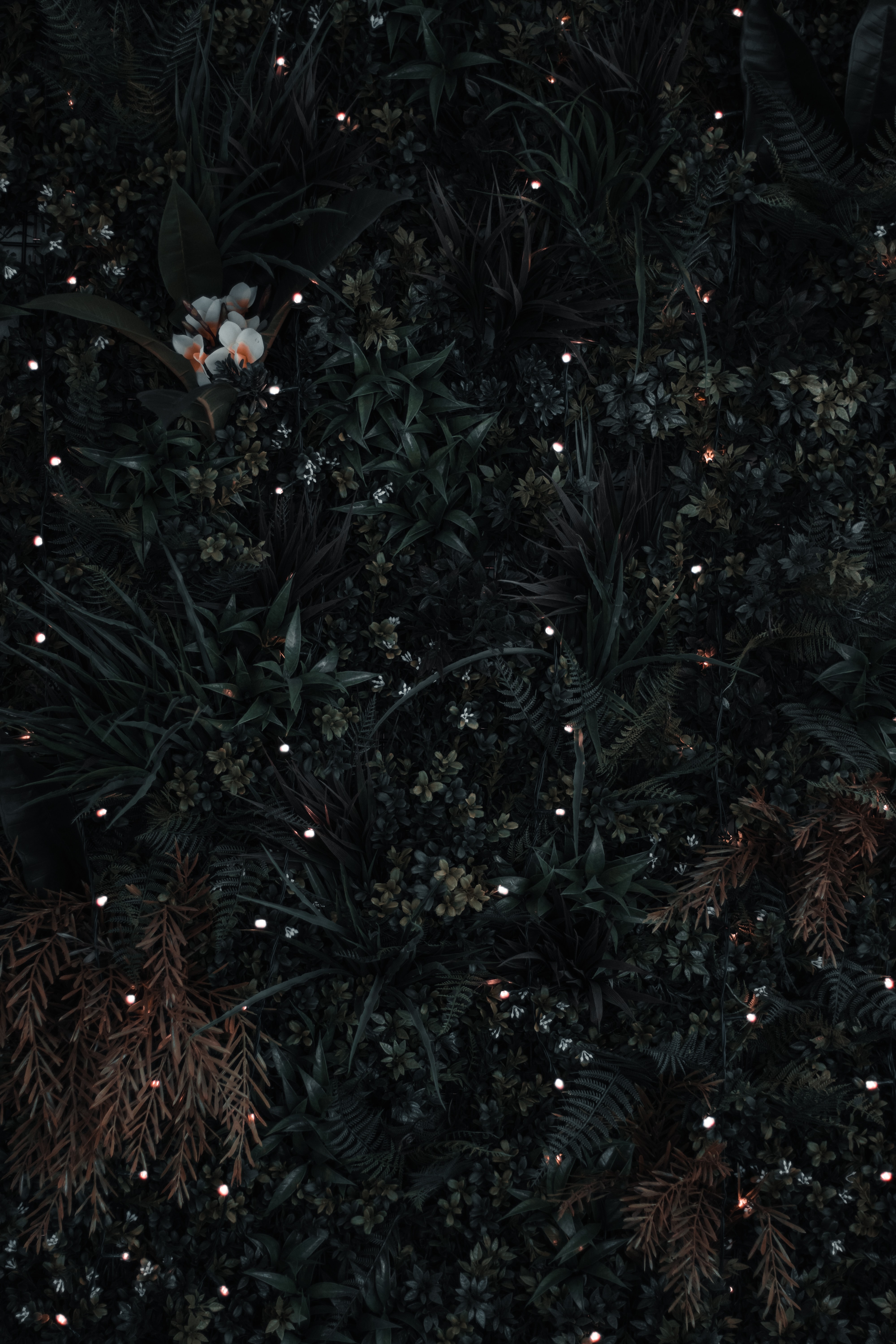 leaves, dark, flowers, grass, view from above mobile wallpaper
