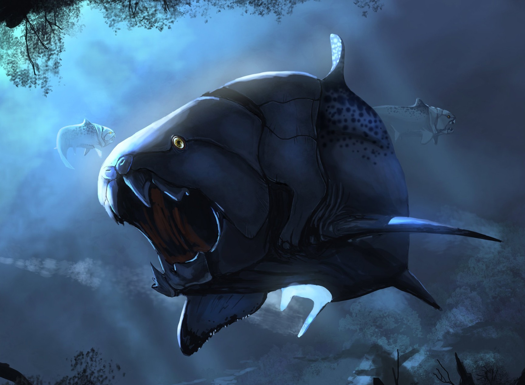 Free download wallpaper Fantasy, Animal, Fish, Fantasy Animals on your PC desktop