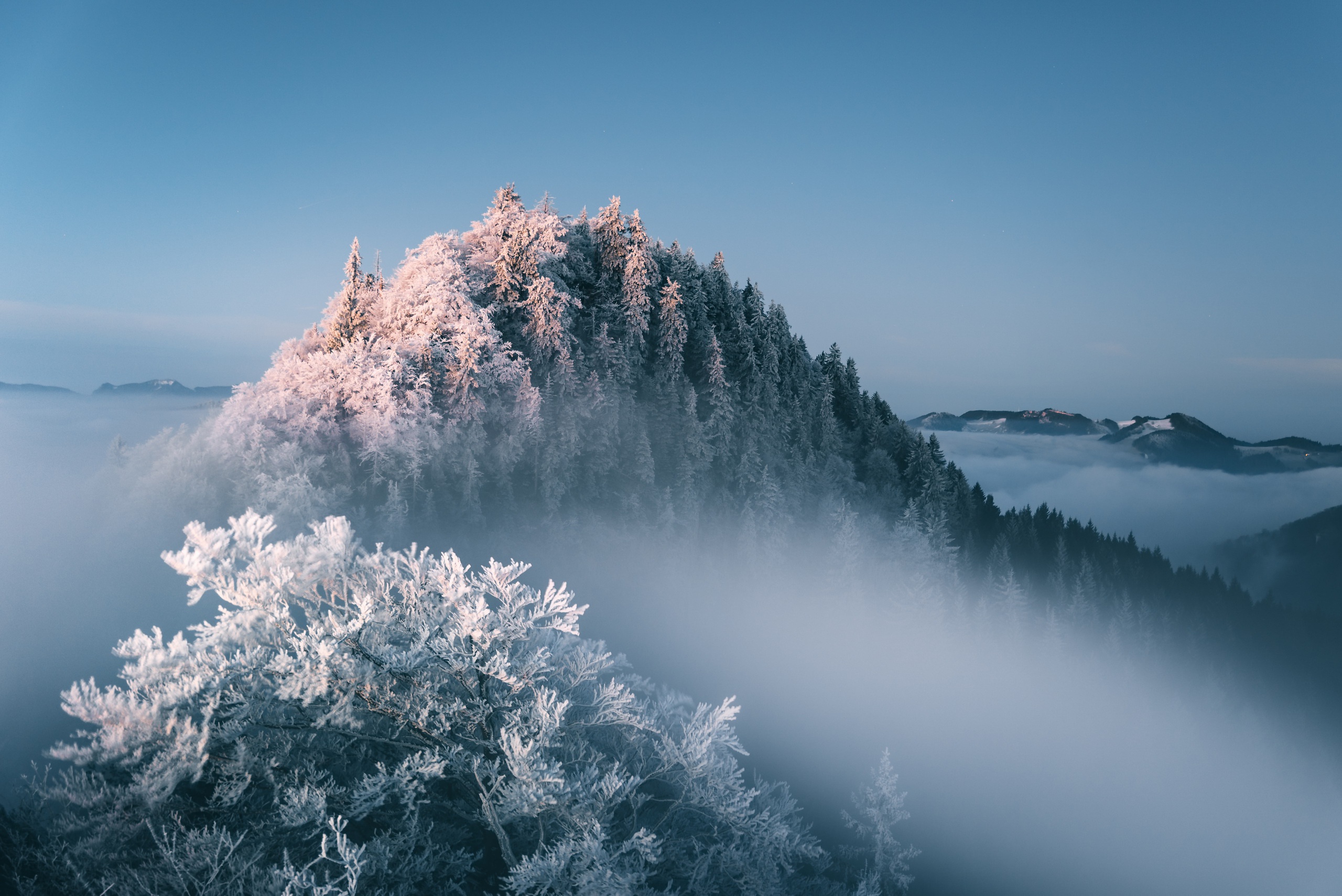 Handy-Wallpaper Winter, Natur, Nebel, Erde/natur kostenlos herunterladen.