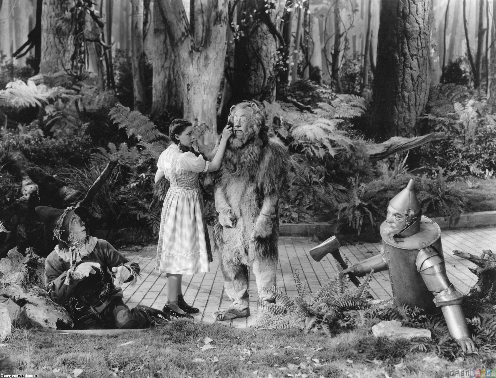 673526壁紙のダウンロード映画, オズの魔法使い (1939)-スクリーンセーバーと写真を無料で