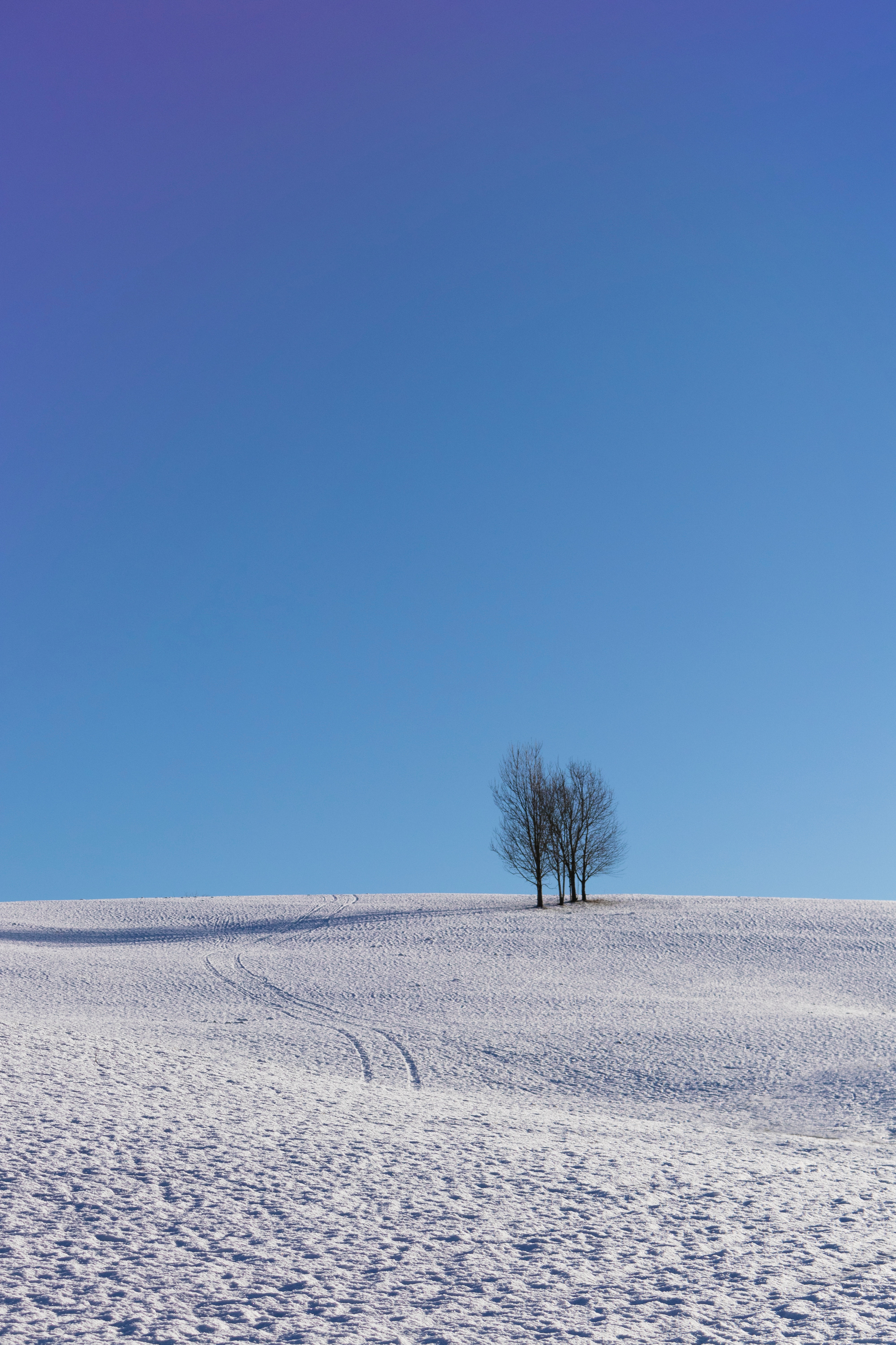 Скачать обои бесплатно Небо, Деревья, Снег, Горизонт, Зима, Минимализм картинка на рабочий стол ПК