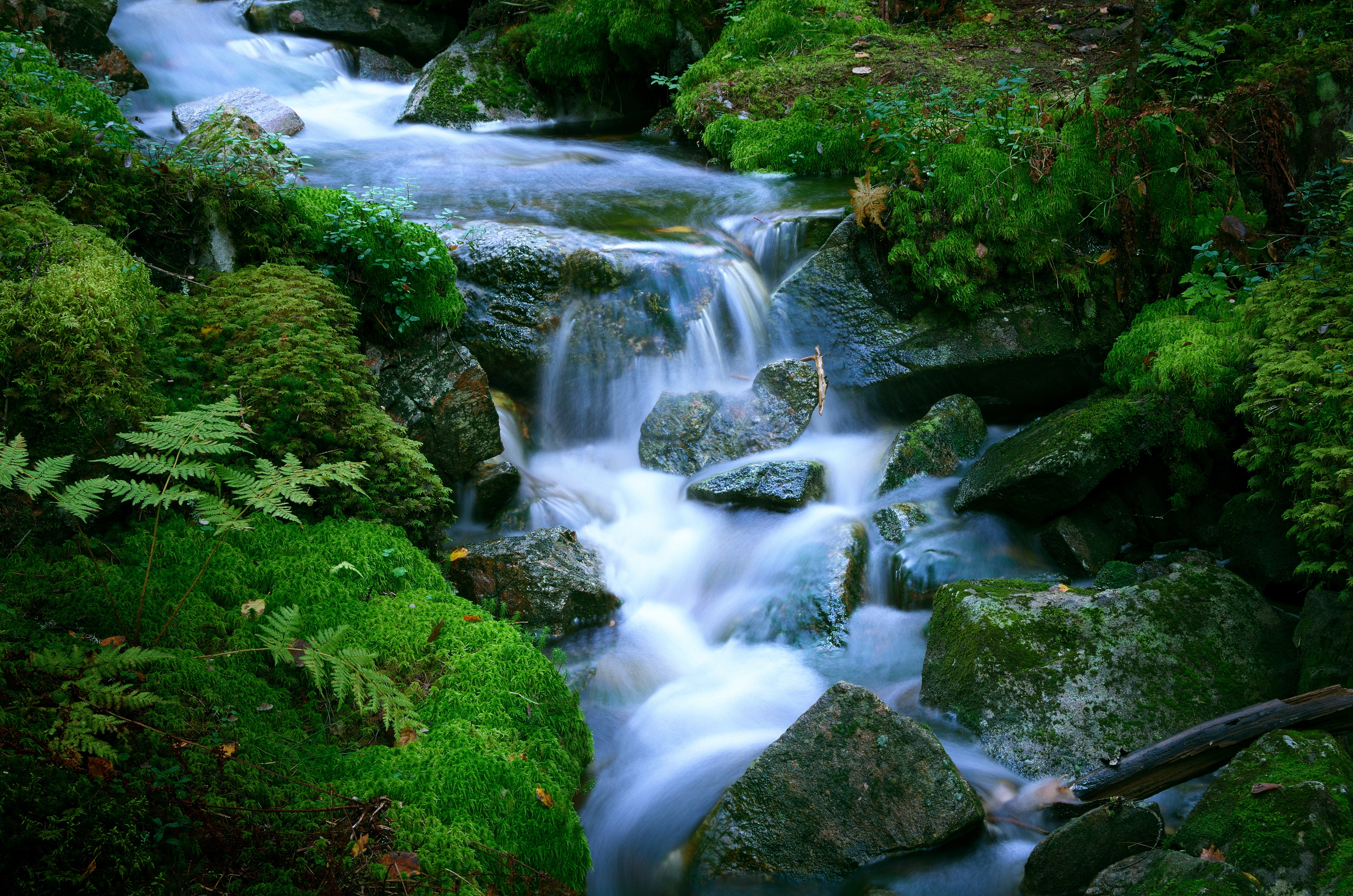 Download mobile wallpaper Nature, Earth, Foam, Moss, Stream for free.