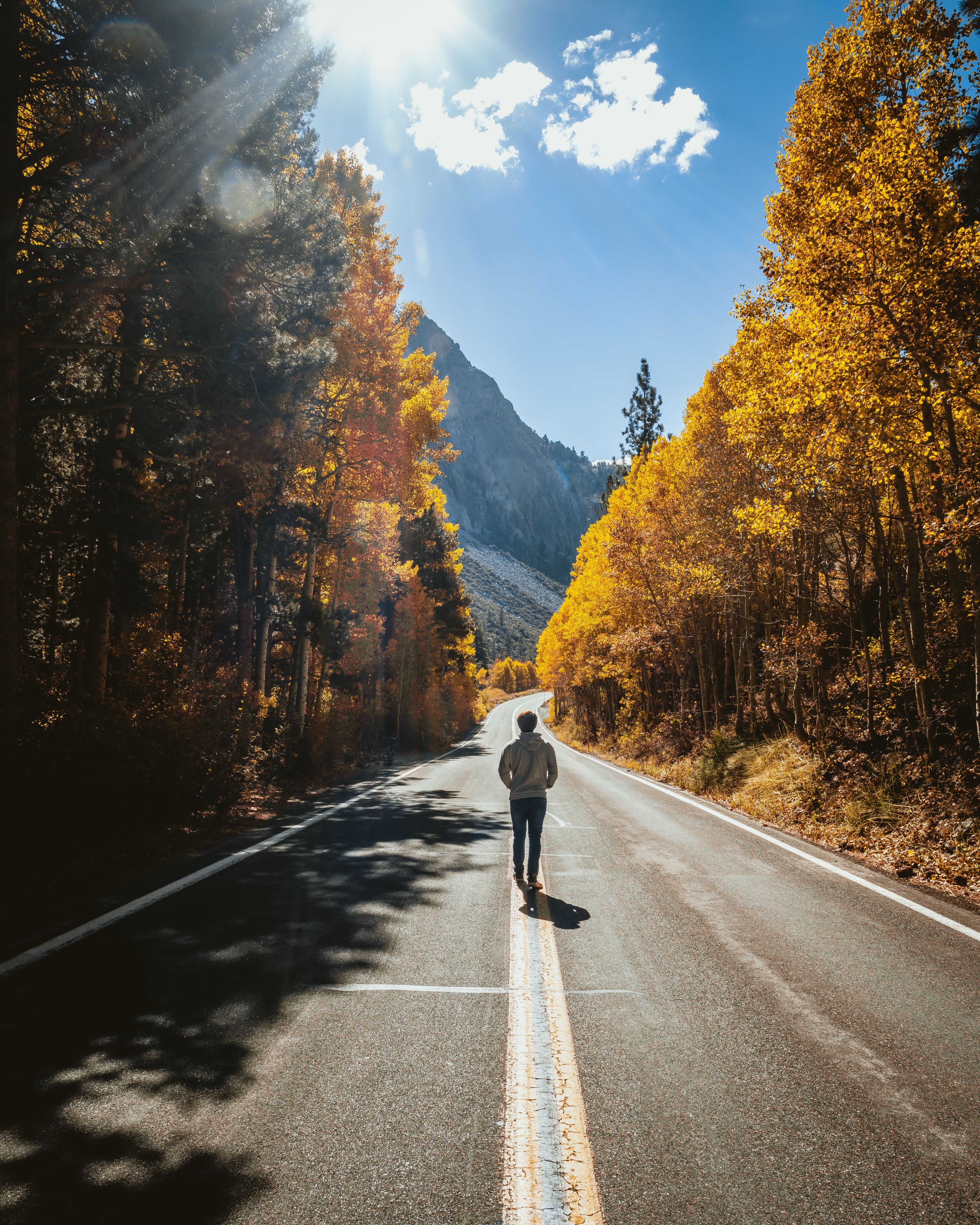 person, human, loneliness, autumn, nature, road, stroll, sunlight HD wallpaper
