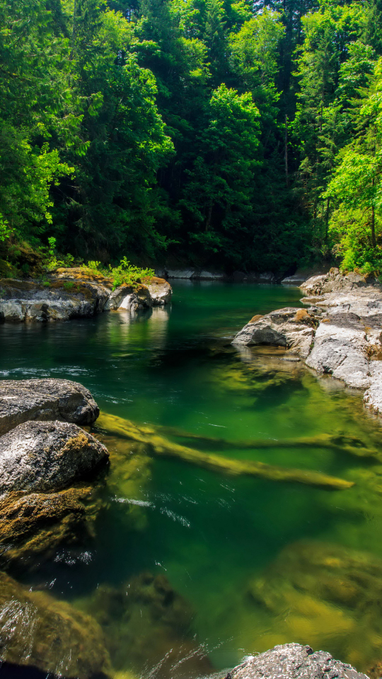 Handy-Wallpaper Natur, Wald, Fluss, Erde/natur kostenlos herunterladen.