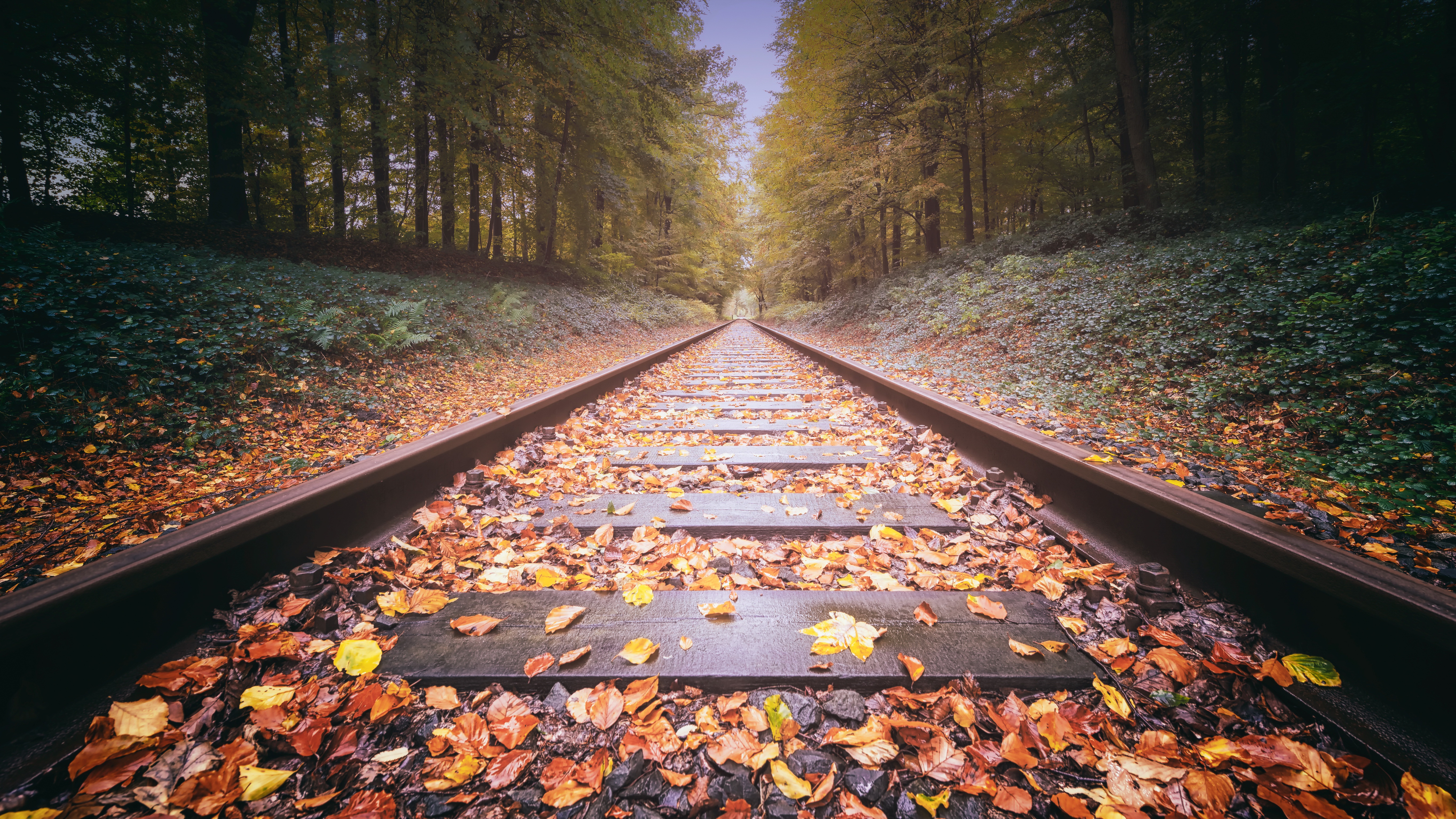 Free download wallpaper Nature, Tree, Leaf, Fall, Railroad, Man Made on your PC desktop