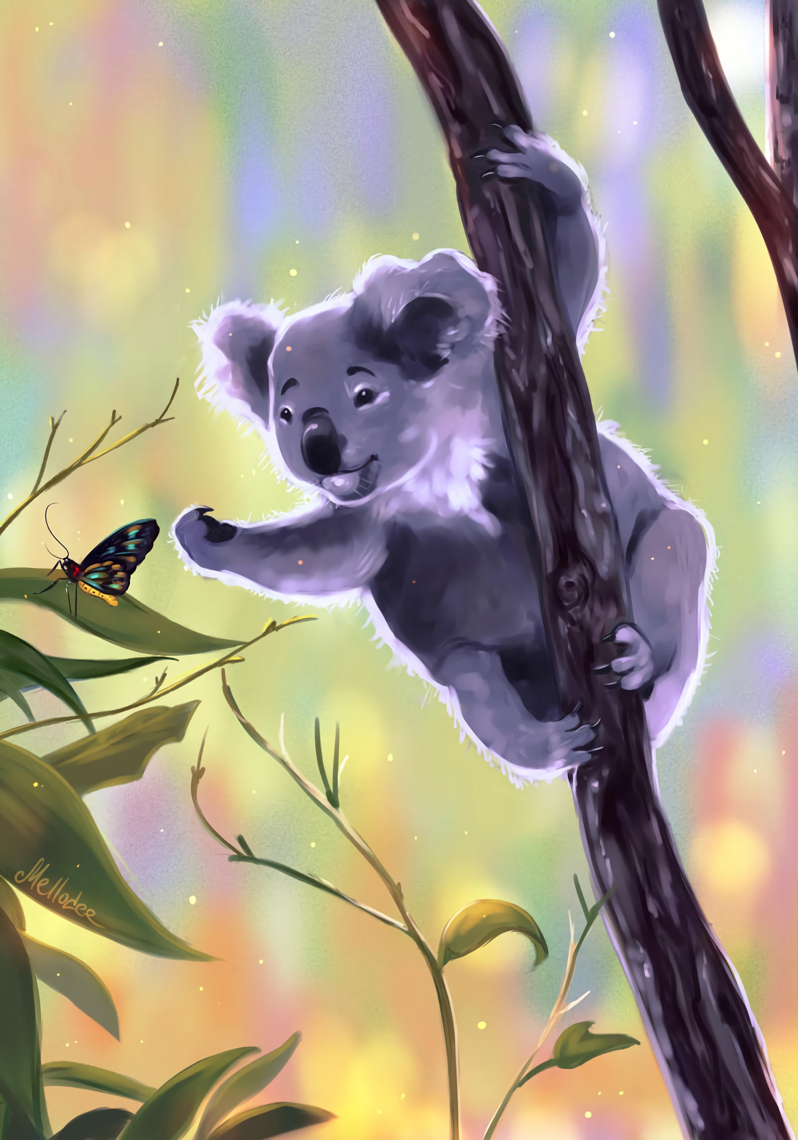 114356 descargar imagen conmovedor, arte, sucursales, ramas, mariposa, toque, coala, koala: fondos de pantalla y protectores de pantalla gratis