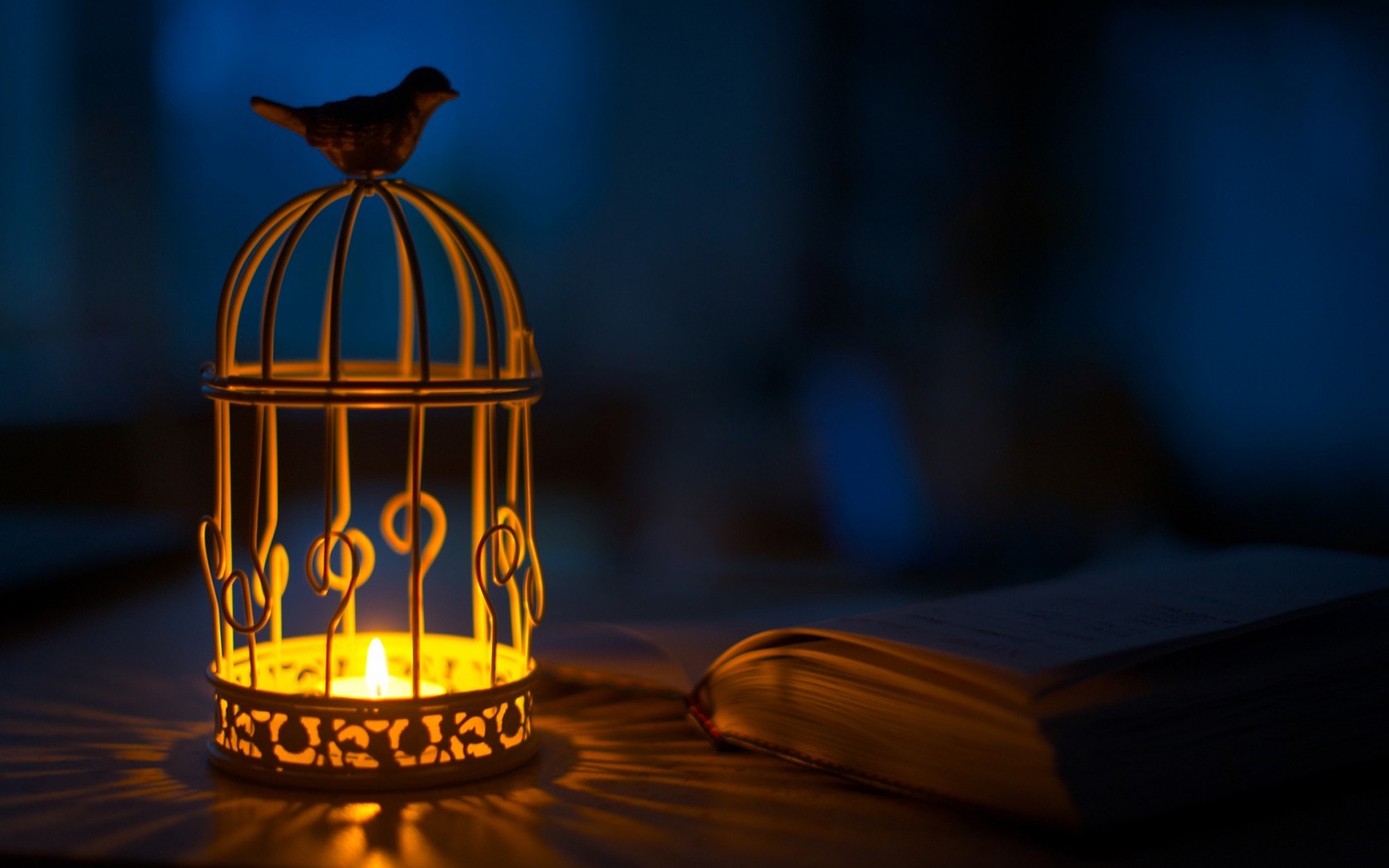 Download mobile wallpaper Bird, Book, Candle, Photography for free.