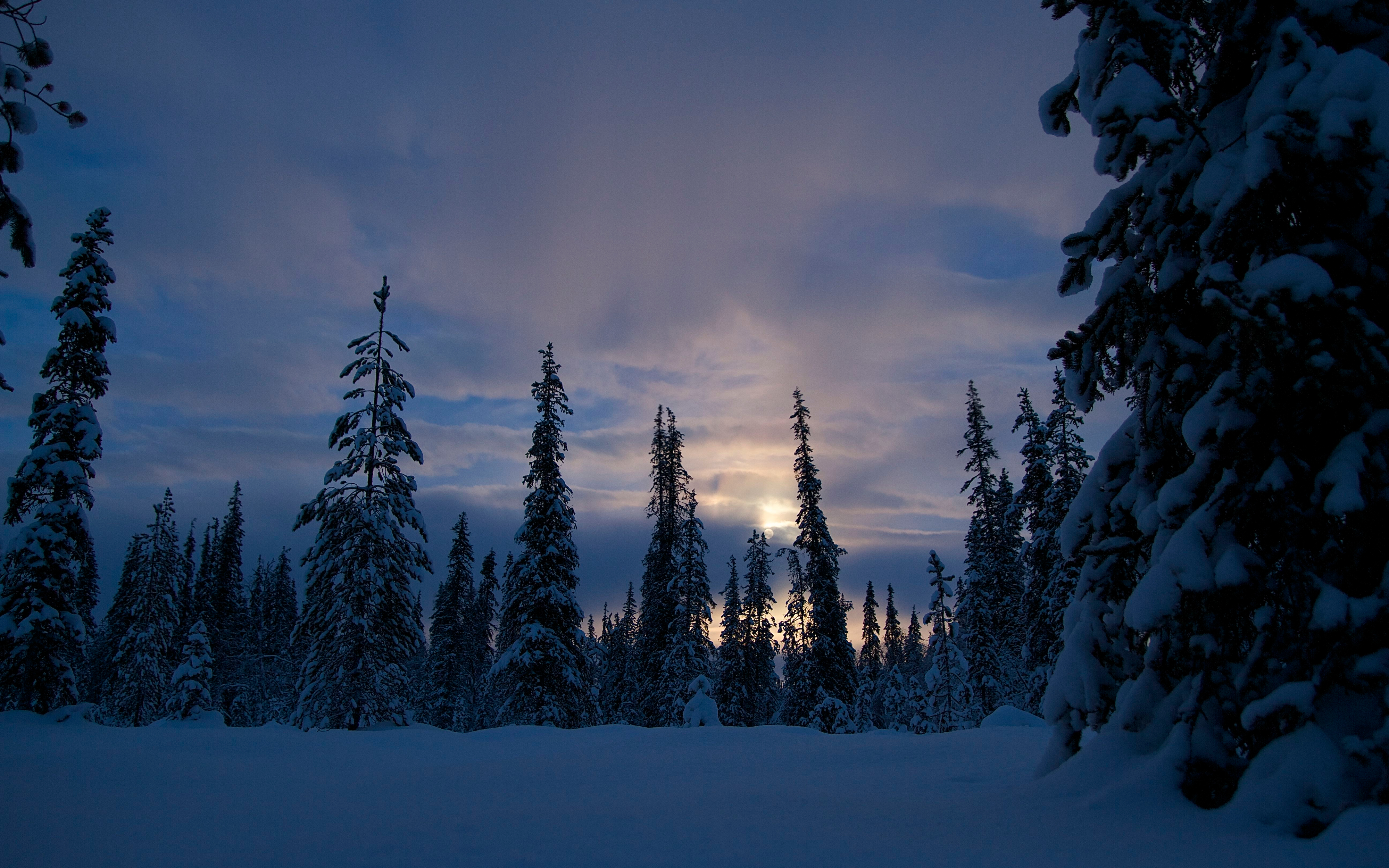 Download mobile wallpaper Winter, Twilight, Snow, Forest, Earth, Dusk for free.