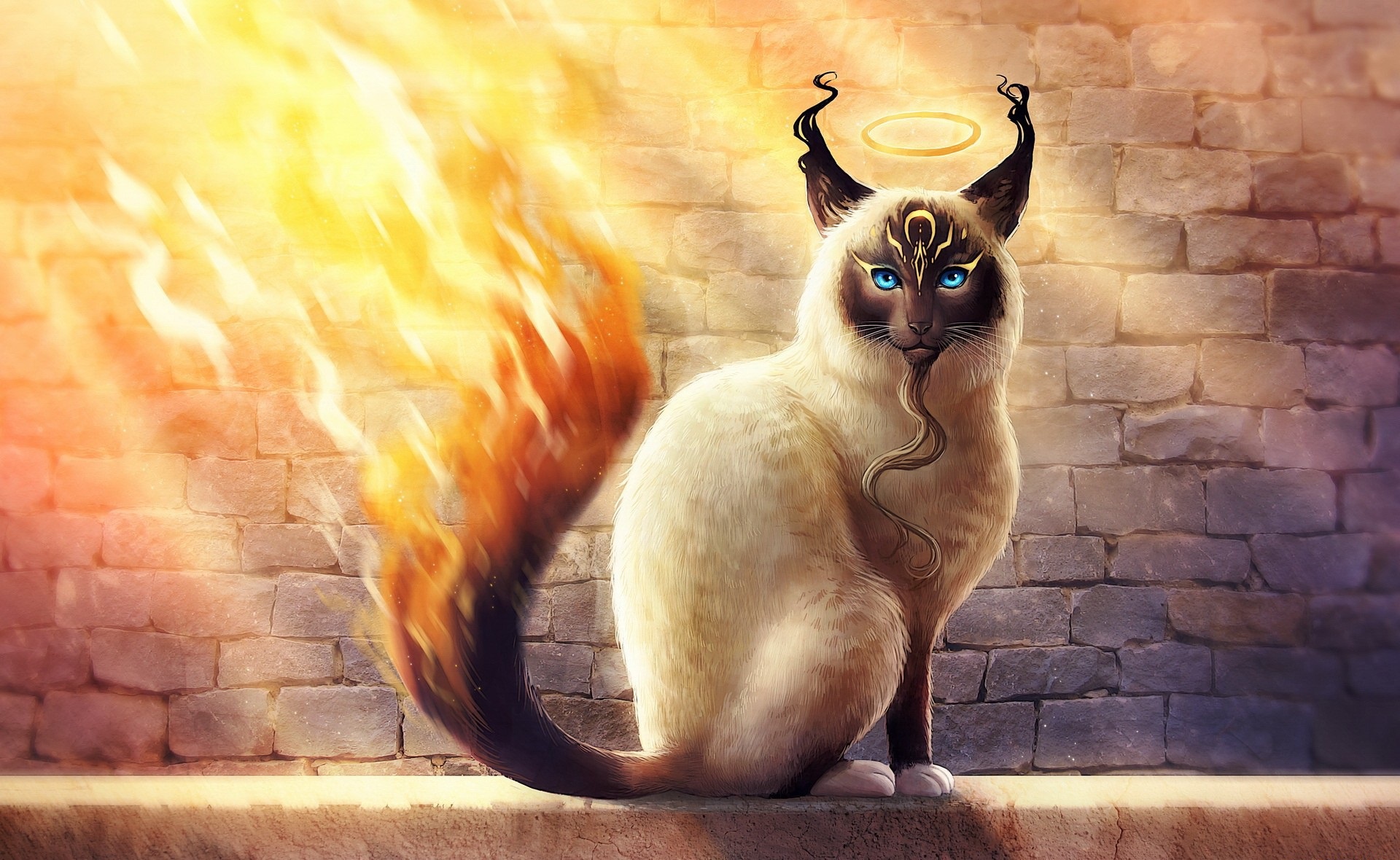 Free download wallpaper Fantasy, Cat, Fantasy Animals on your PC desktop