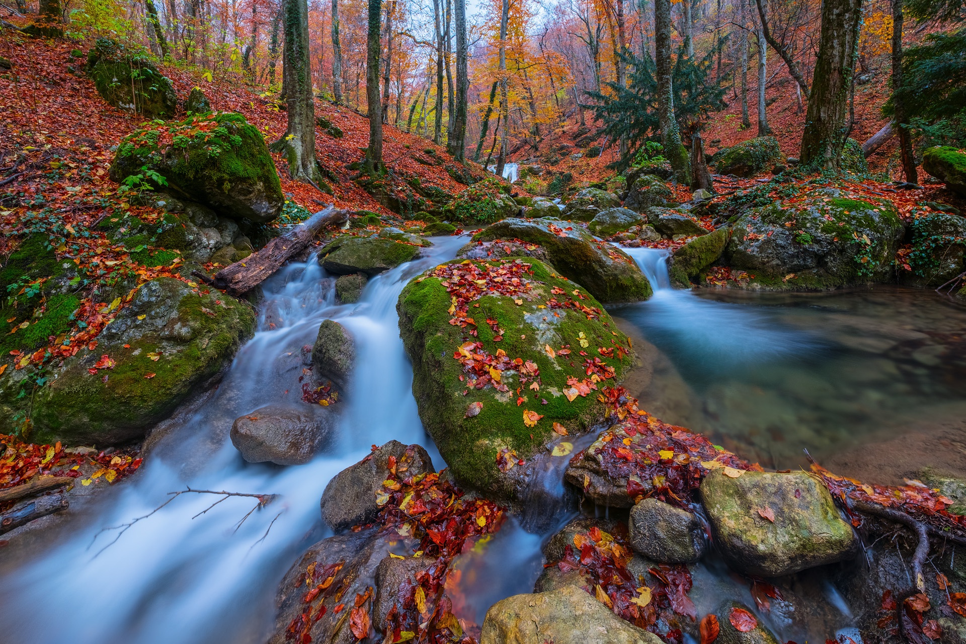 Laden Sie das Natur, Herbst, Wald, Strom, Erde/natur-Bild kostenlos auf Ihren PC-Desktop herunter