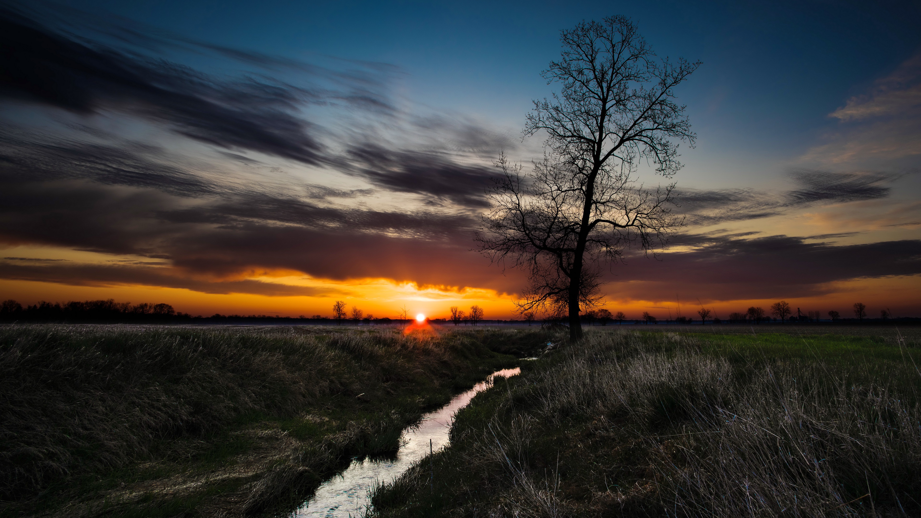Download mobile wallpaper Trees, Sunset, Tree, Earth, Field for free.