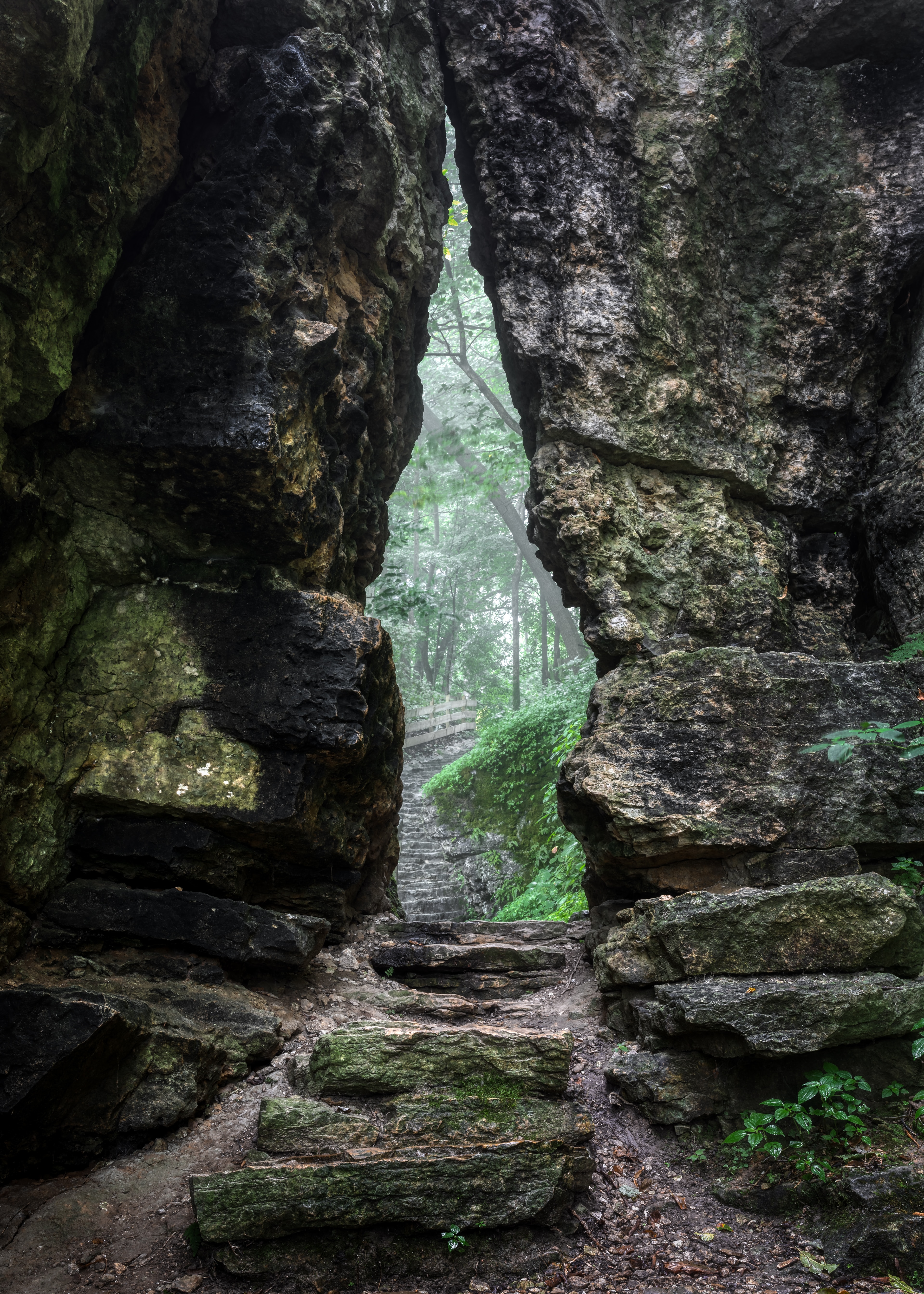 gorge, nature, rock, fog, path