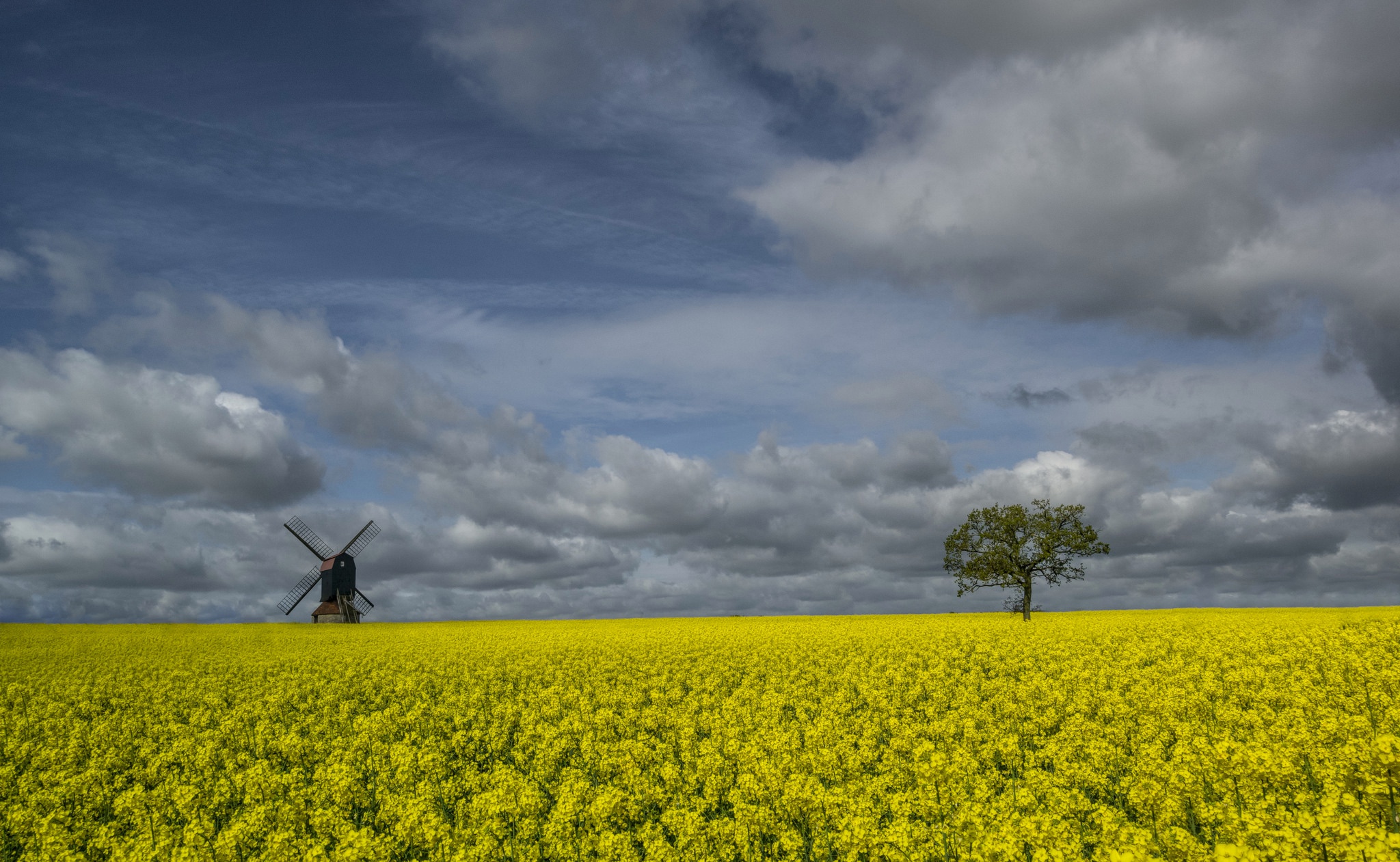 Free download wallpaper Nature, Sky, Summer, Flower, Earth, Field, Cloud, Windmill, Yellow Flower, Rapeseed, Lonely Tree on your PC desktop