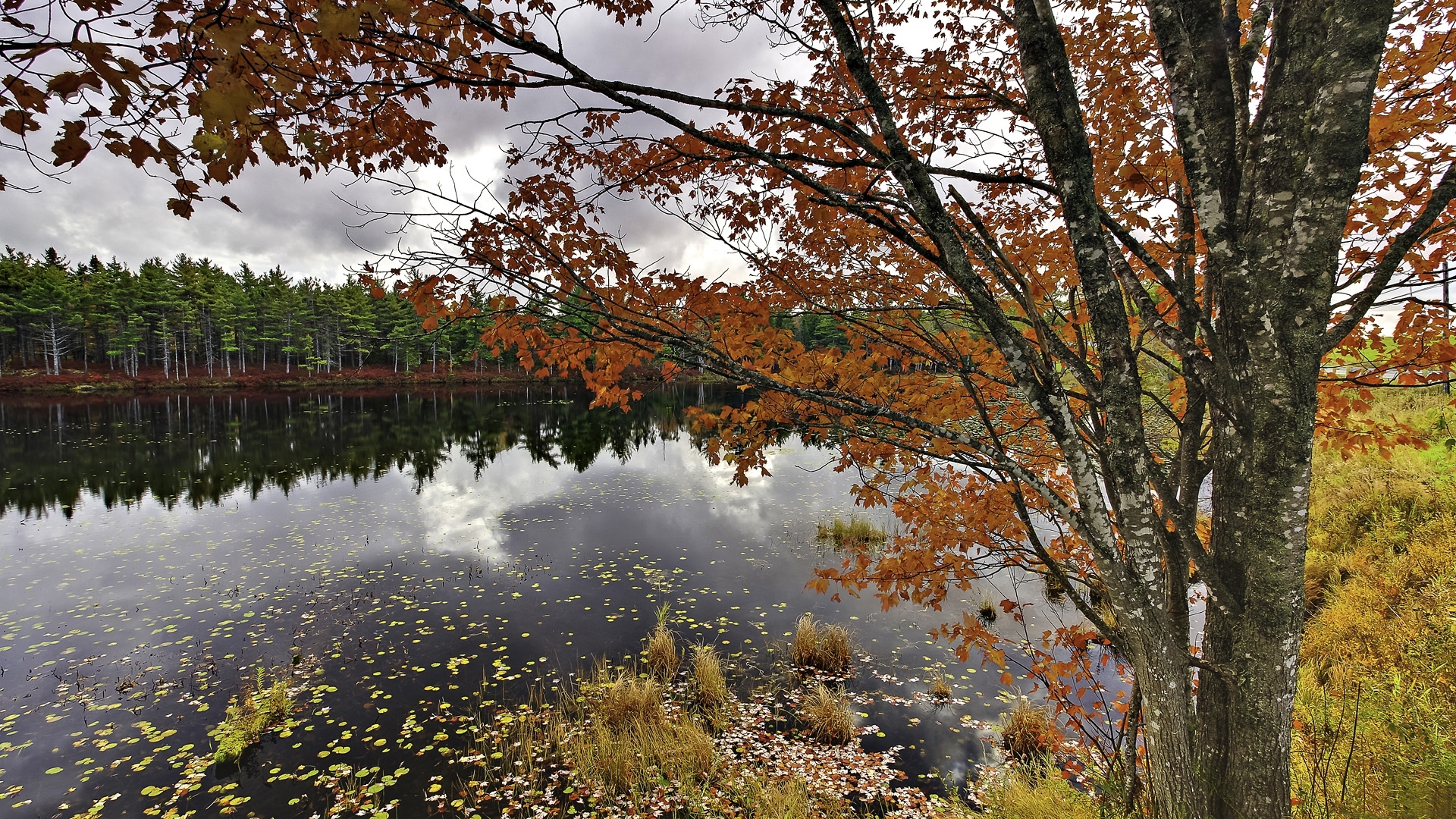 PCデスクトップに川, 風景, 秋画像を無料でダウンロード