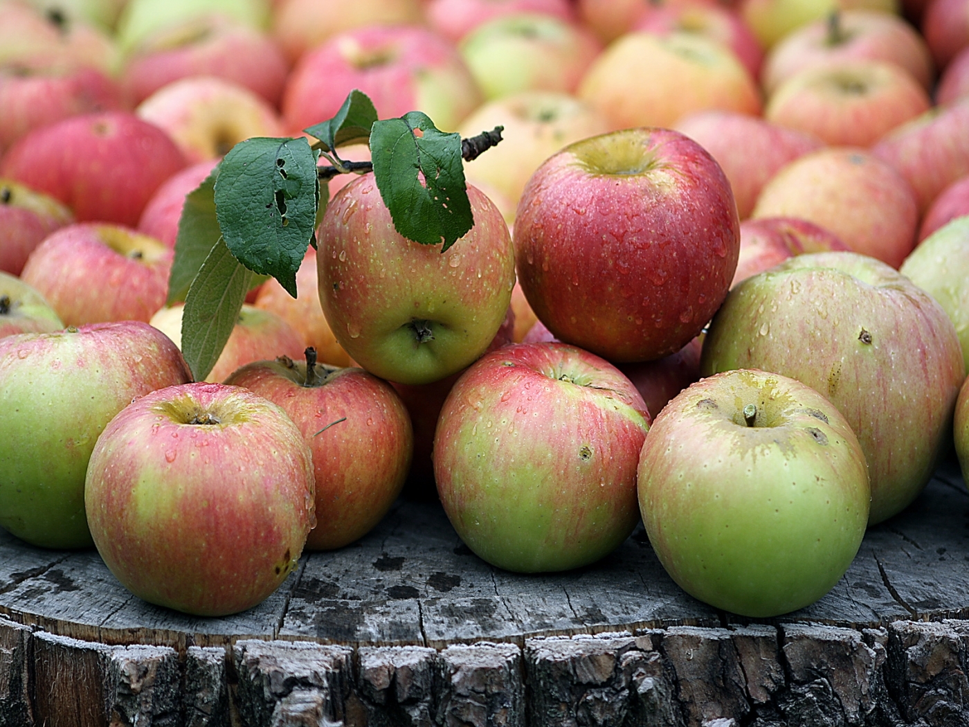 無料モバイル壁紙食品, りんご, フルーツをダウンロードします。