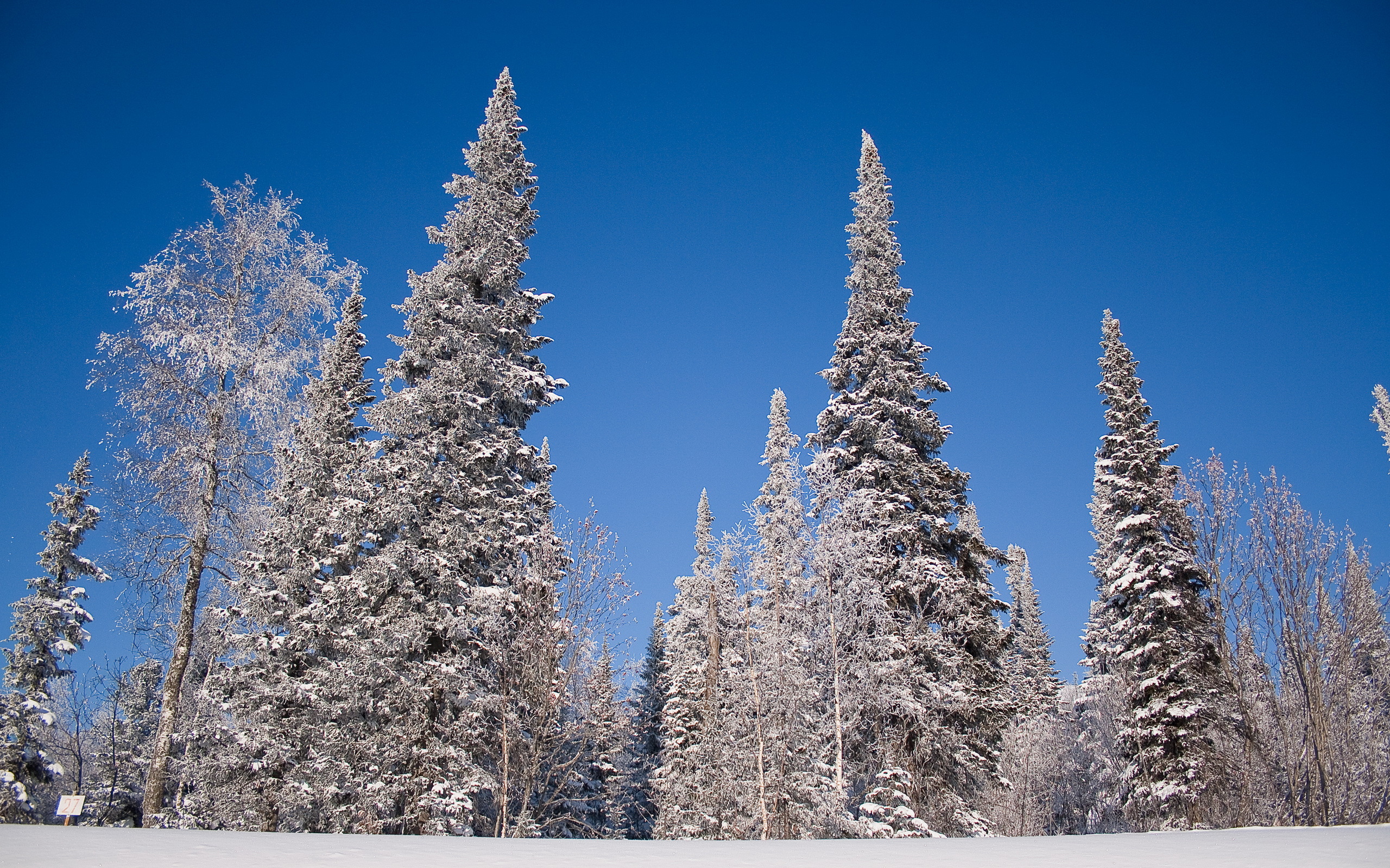 Descarga gratis la imagen Invierno, Tierra/naturaleza en el escritorio de tu PC