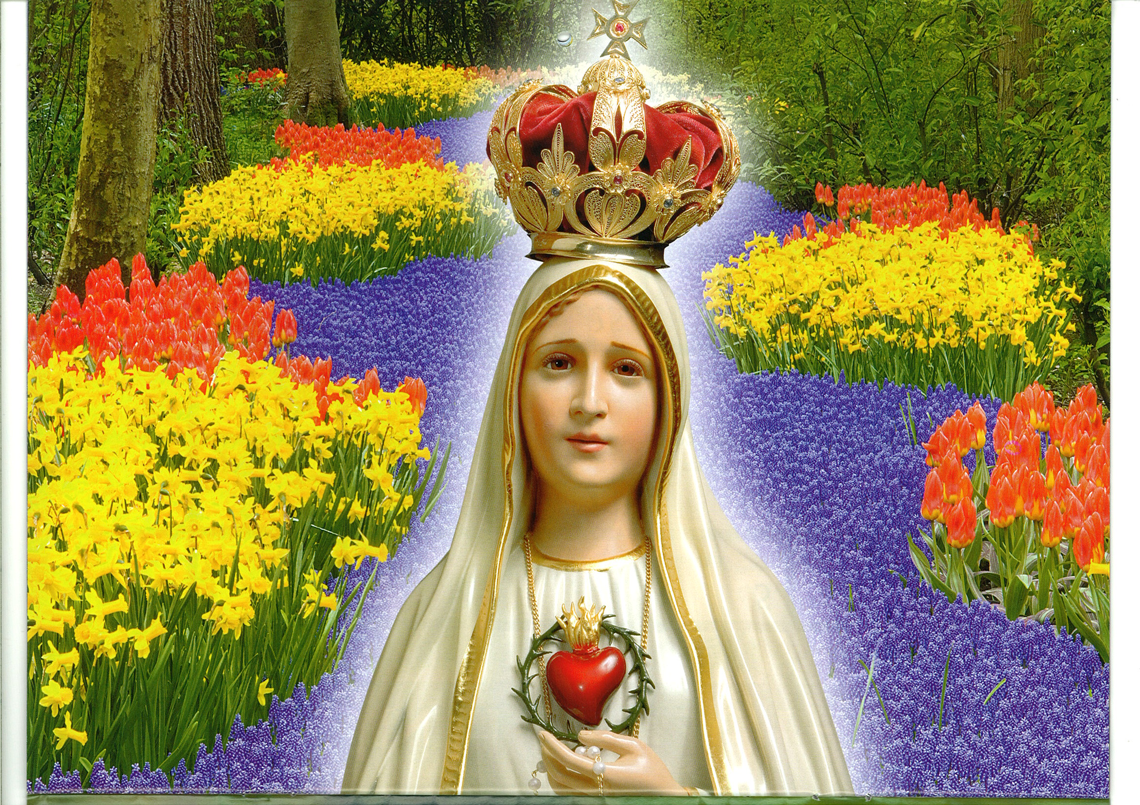 657474壁紙のダウンロード宗教的, メアリー, マリア（イエスの母）, ファティマの聖母-スクリーンセーバーと写真を無料で