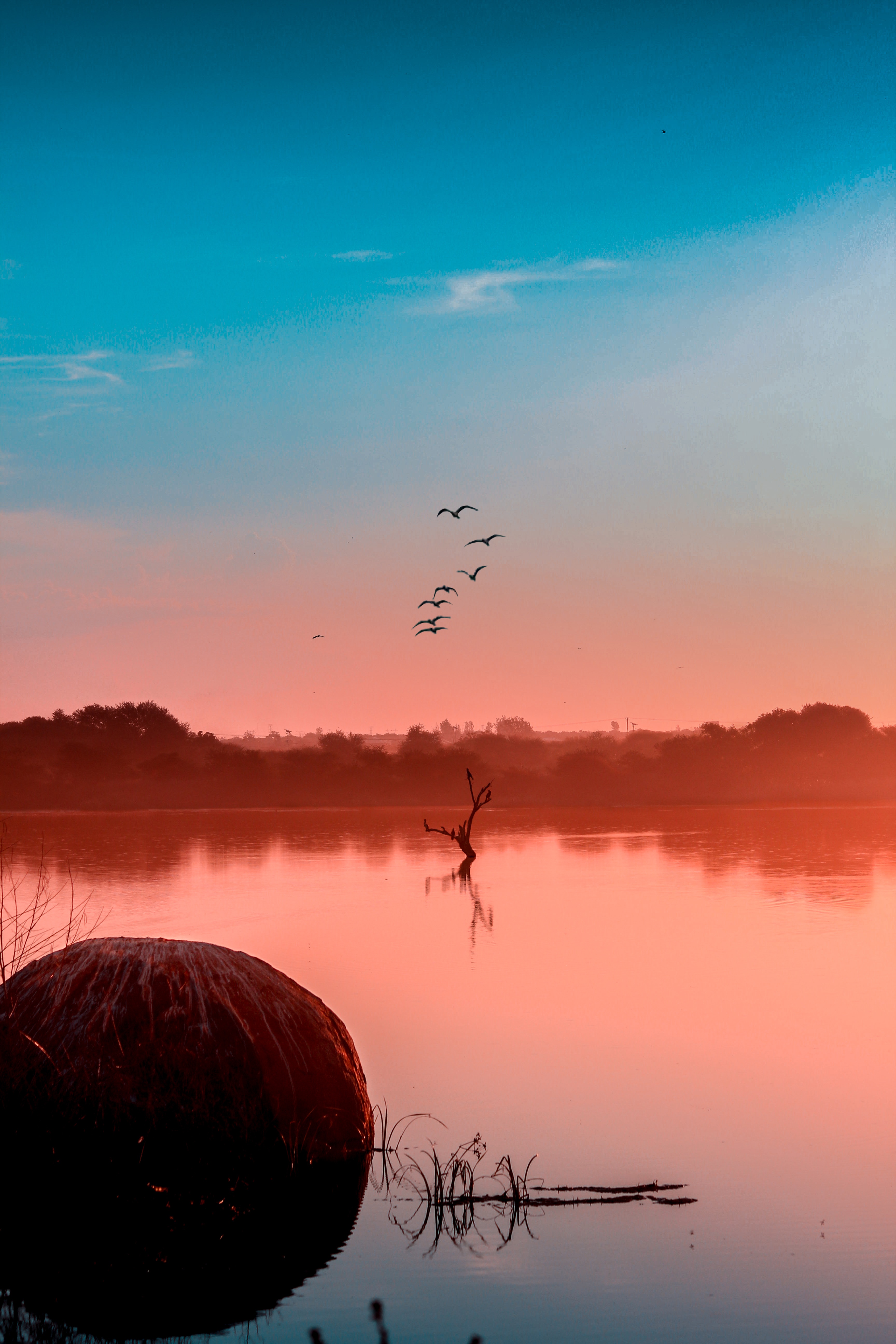 Free download wallpaper Nature, Sunset, Lake, Fog, Birds on your PC desktop